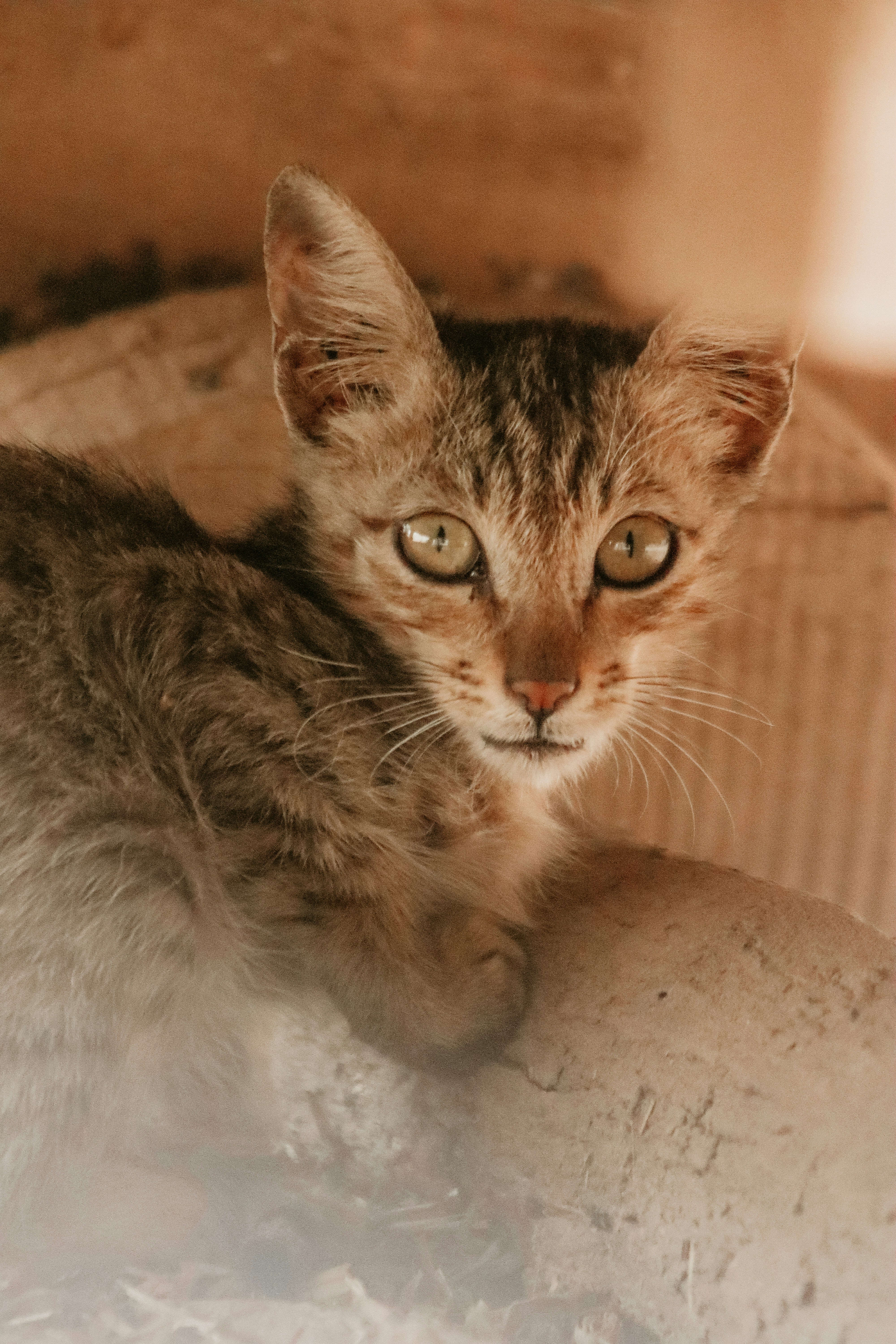 Photo by drphotographer152