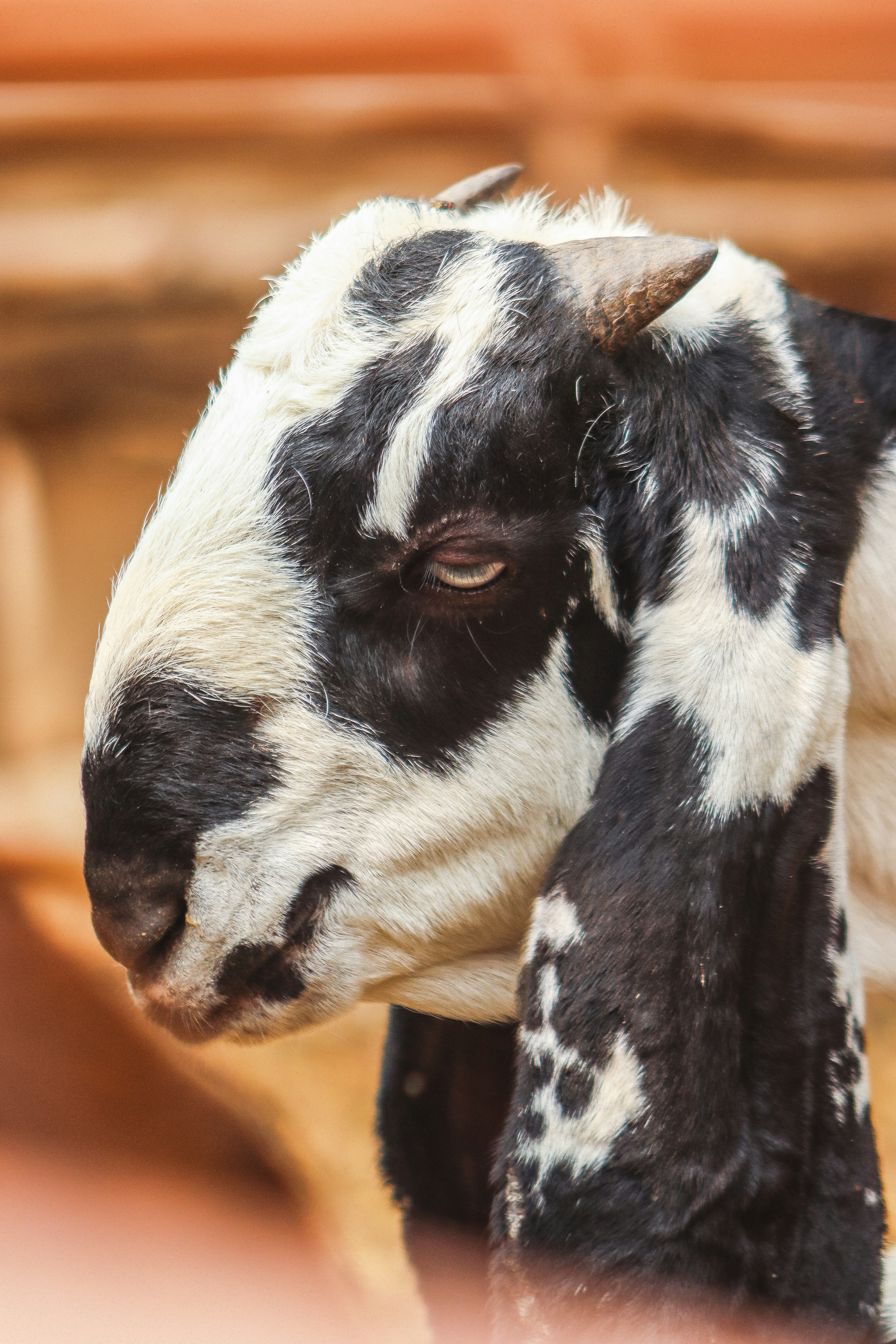 Photo by drphotographer152