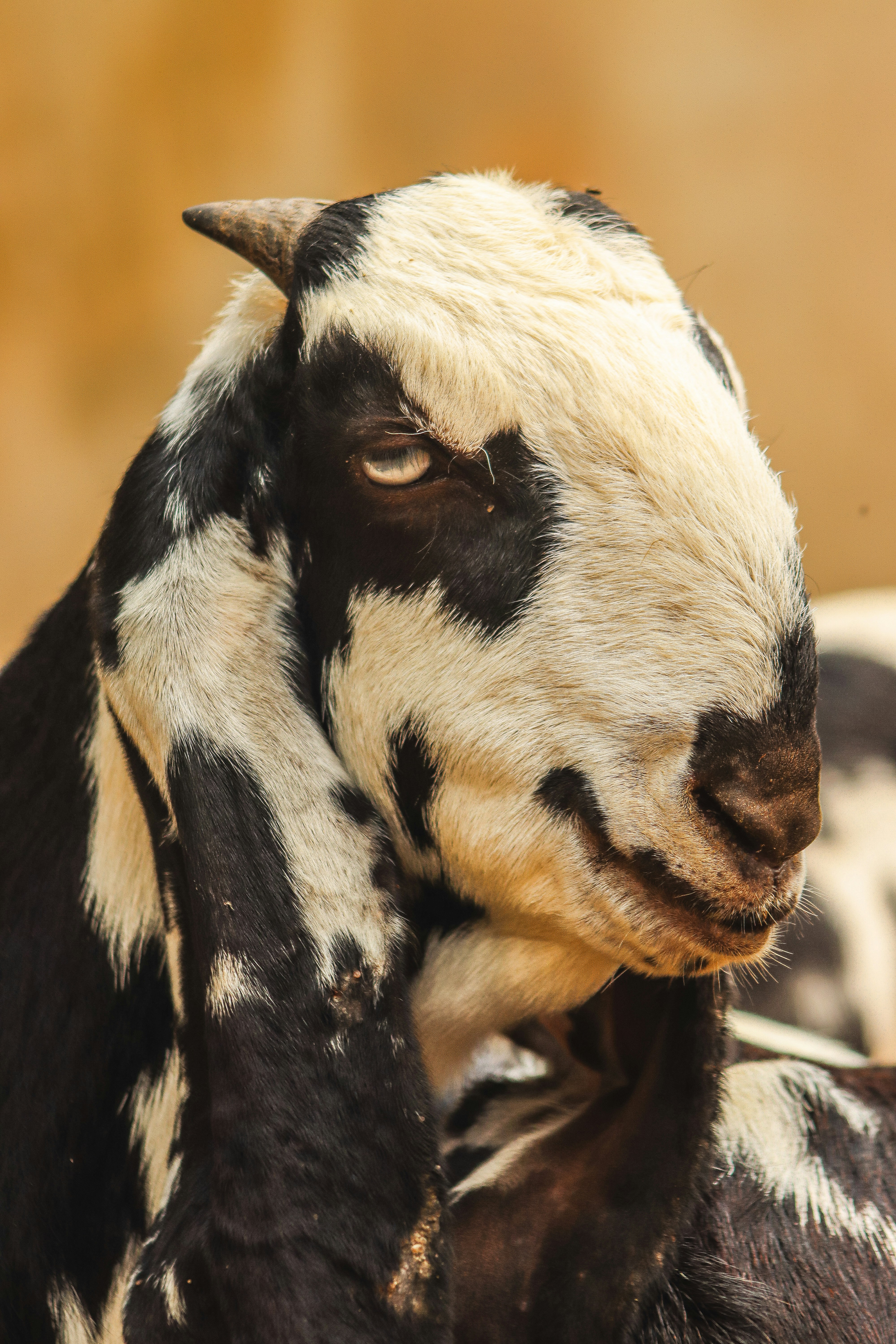 Photo by drphotographer152