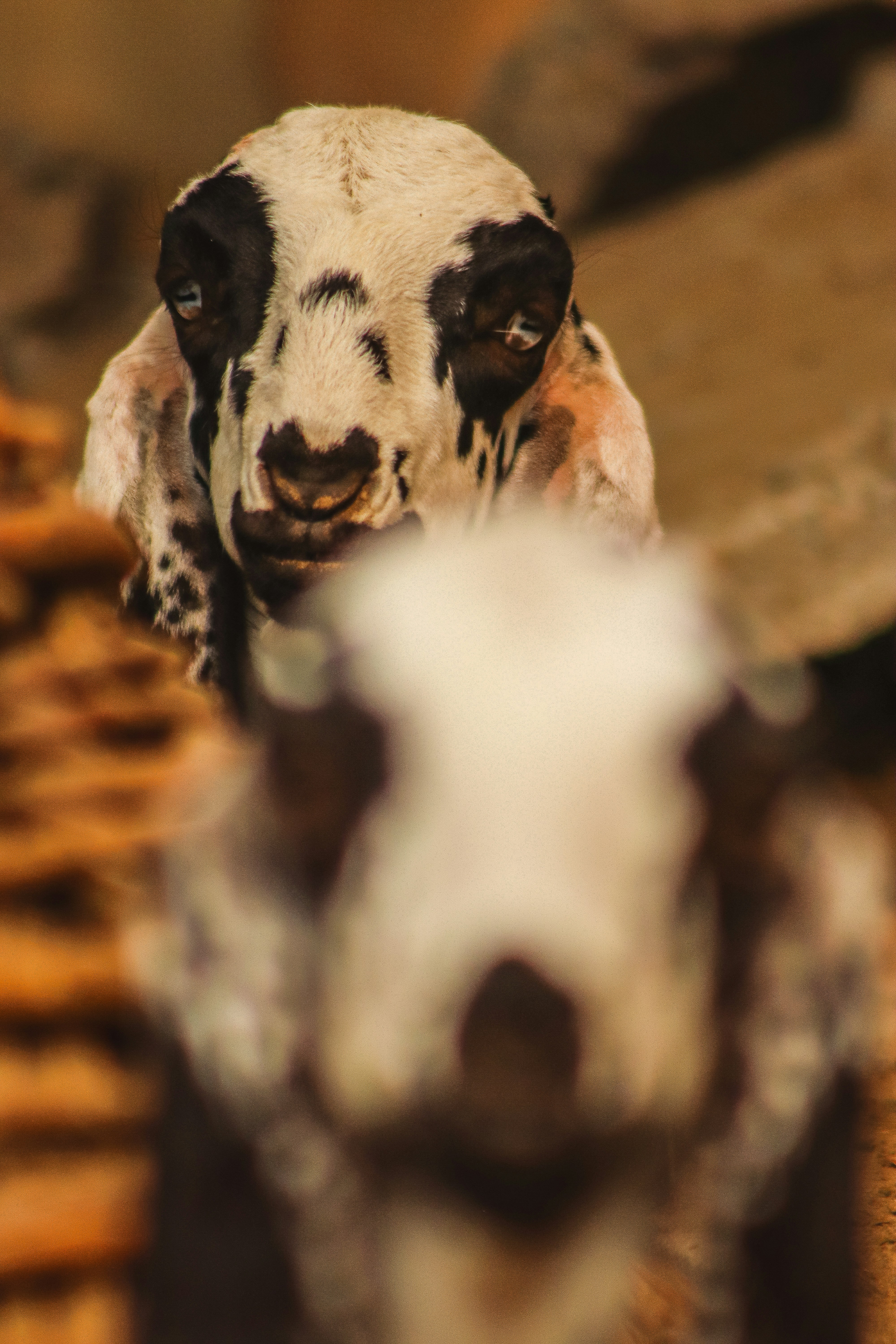 Photo by drphotographer152