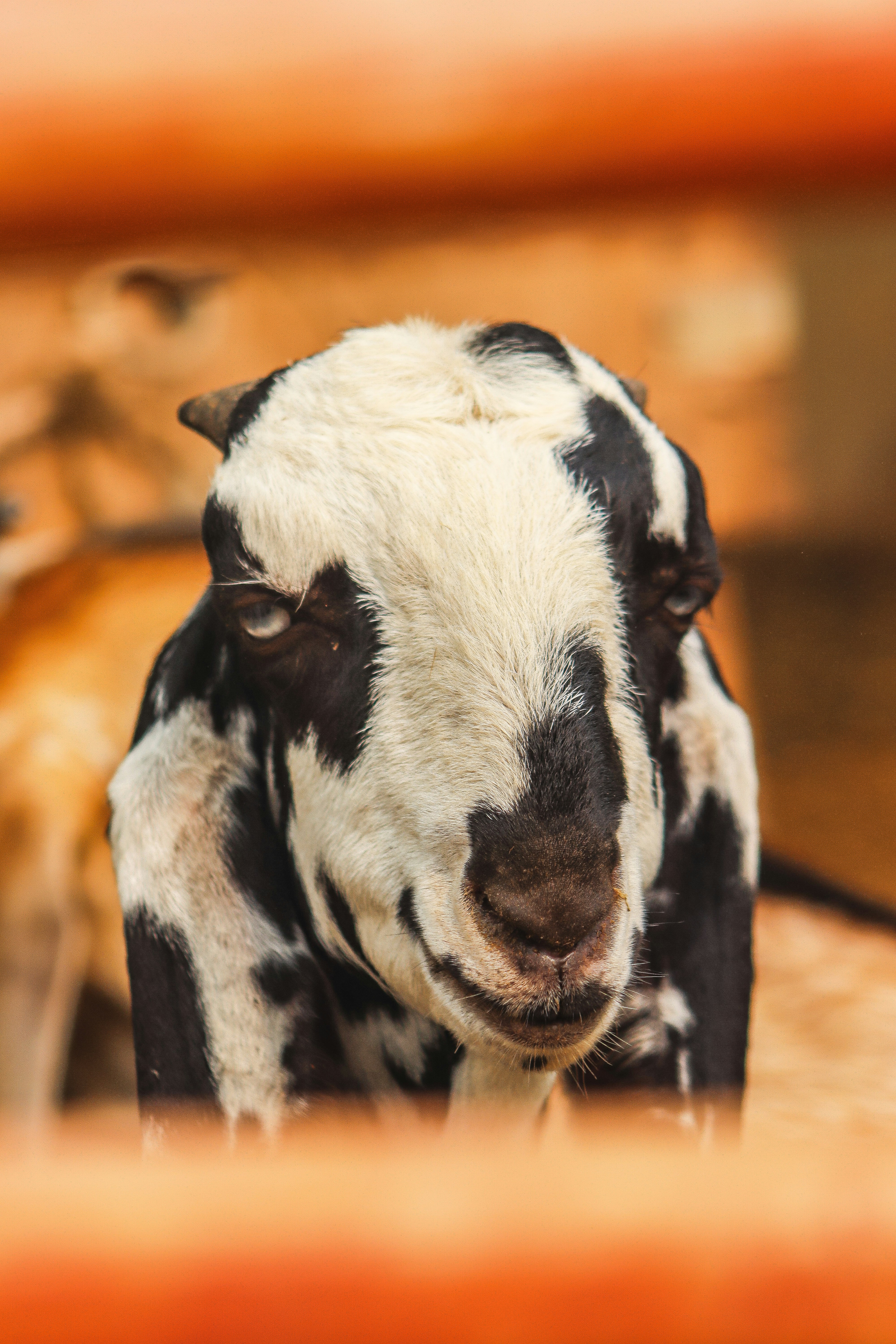 Photo by drphotographer152