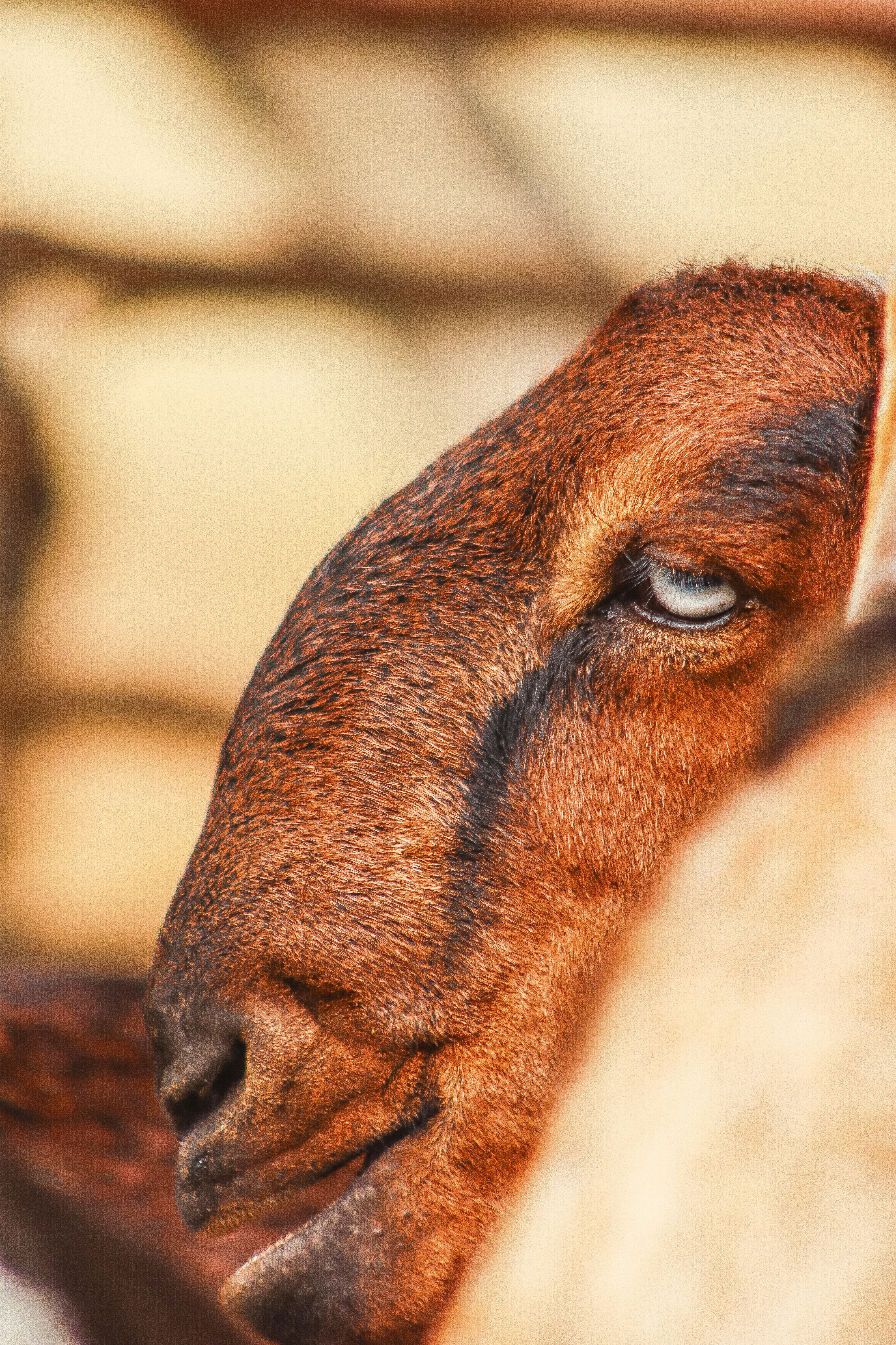 Photo by drphotographer152