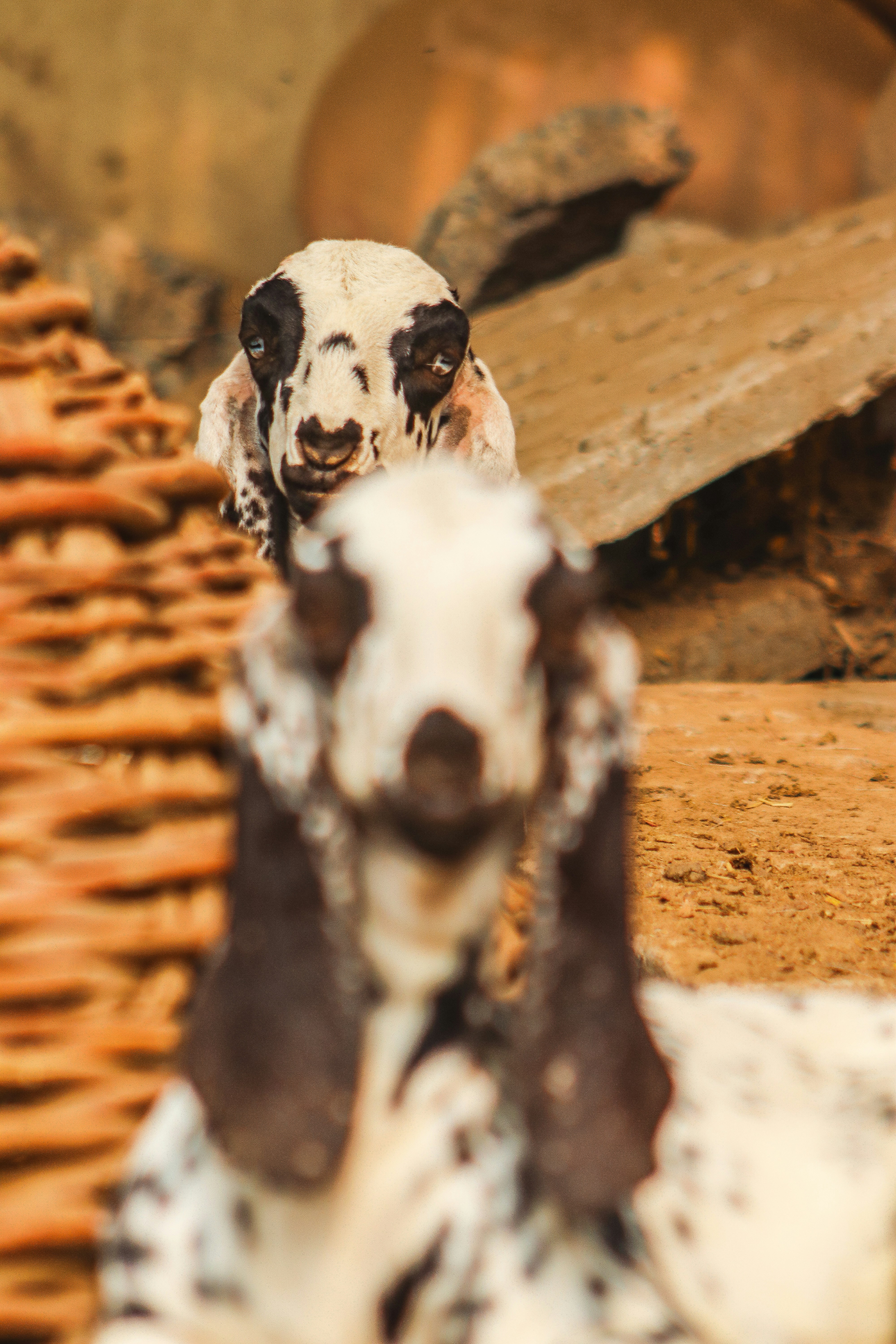 Photo by drphotographer152