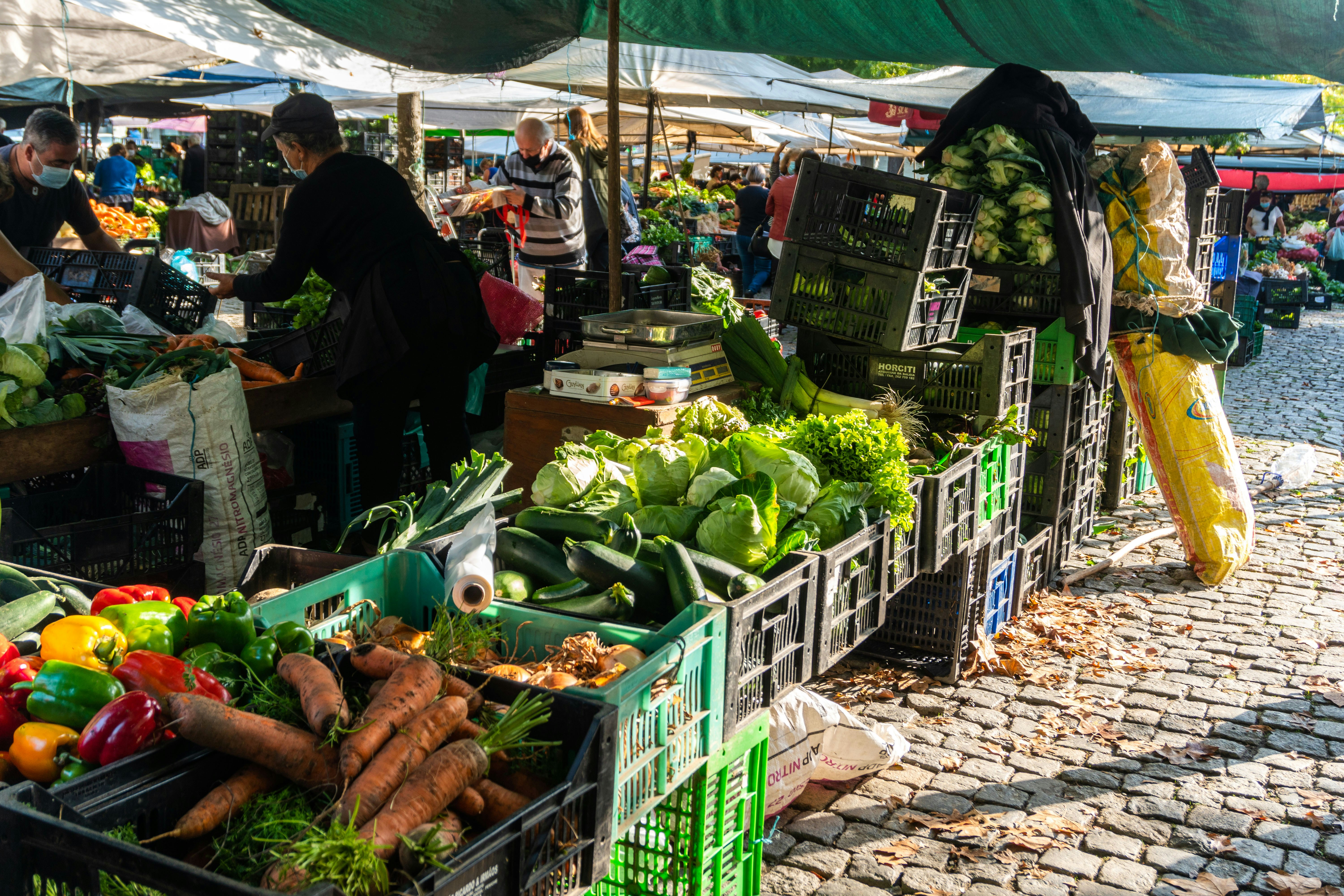 Photo by antonioaaaraujo