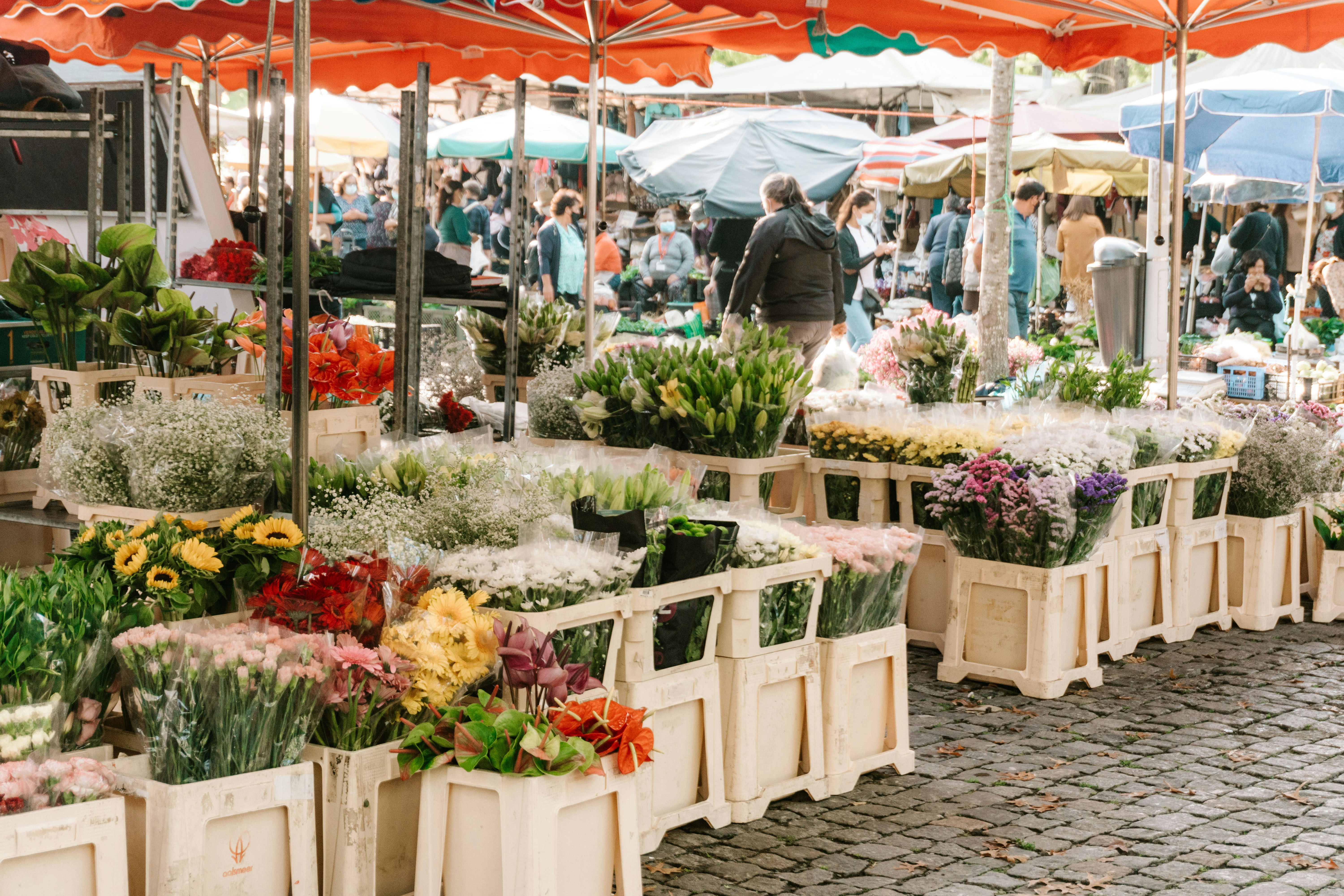 Photo by antonioaaaraujo