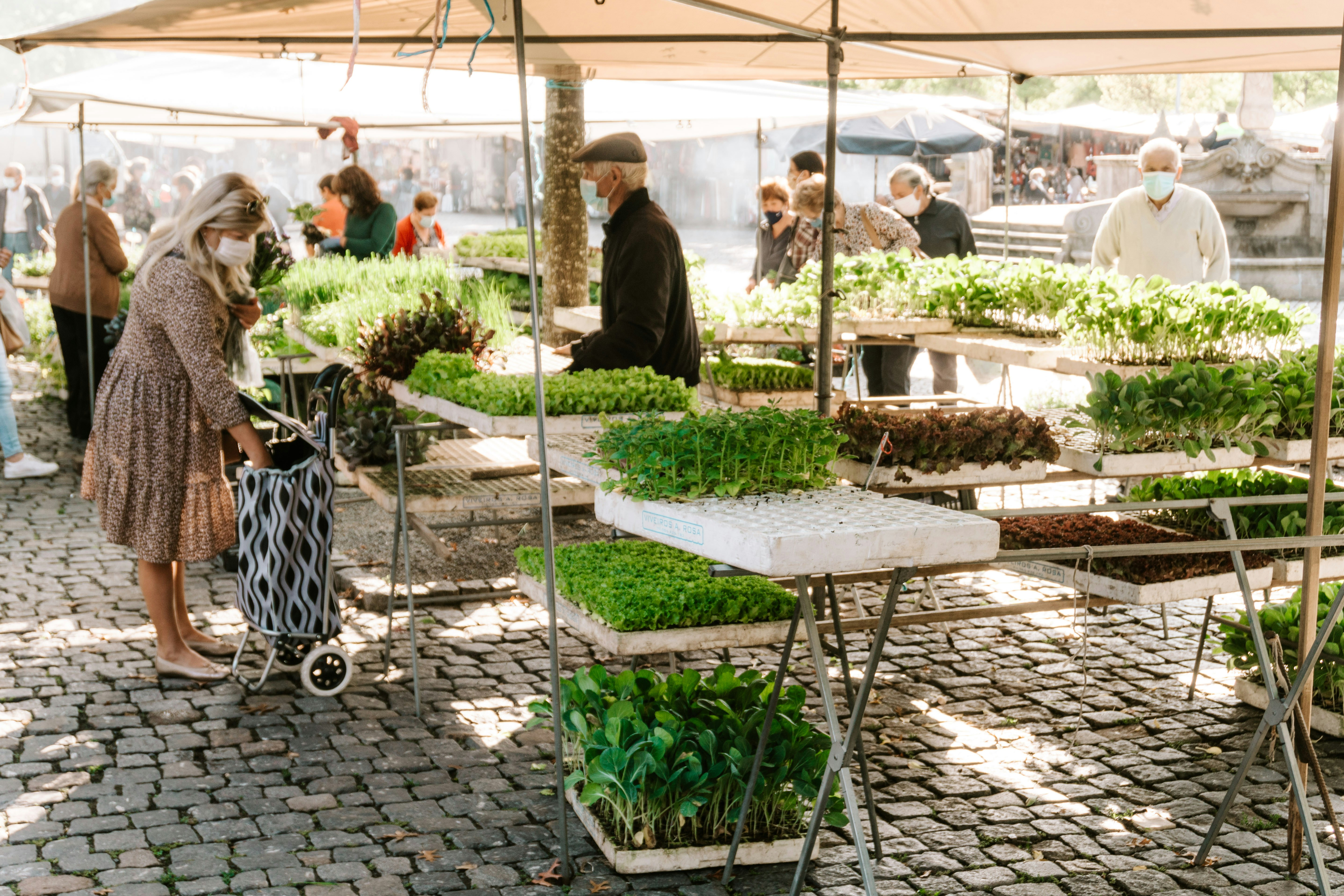 Why Is International Remittance So Costly and Slow?