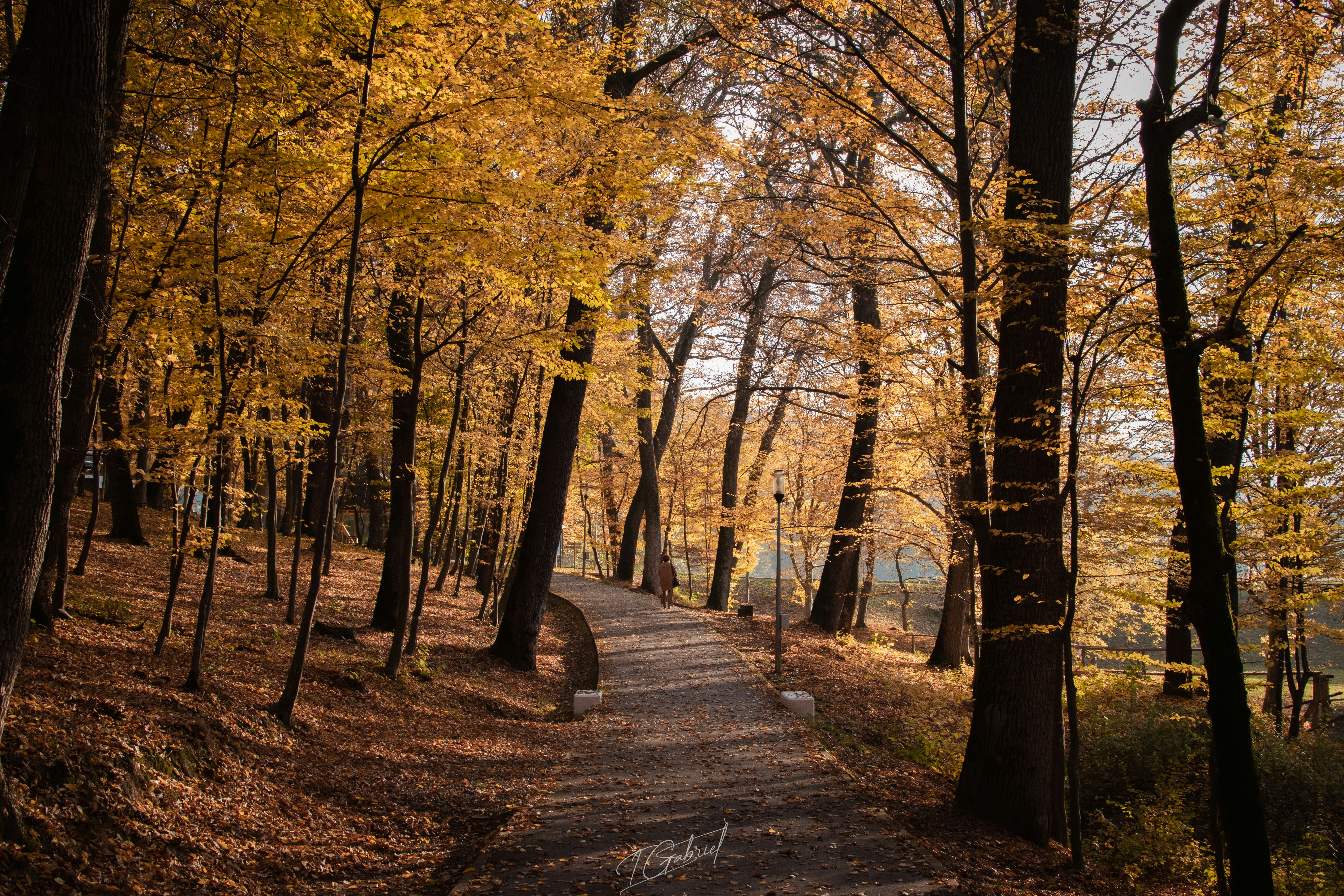 Photo by tudorgabriel7