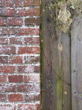 A brick wall and a wooden fence with vines growing on it