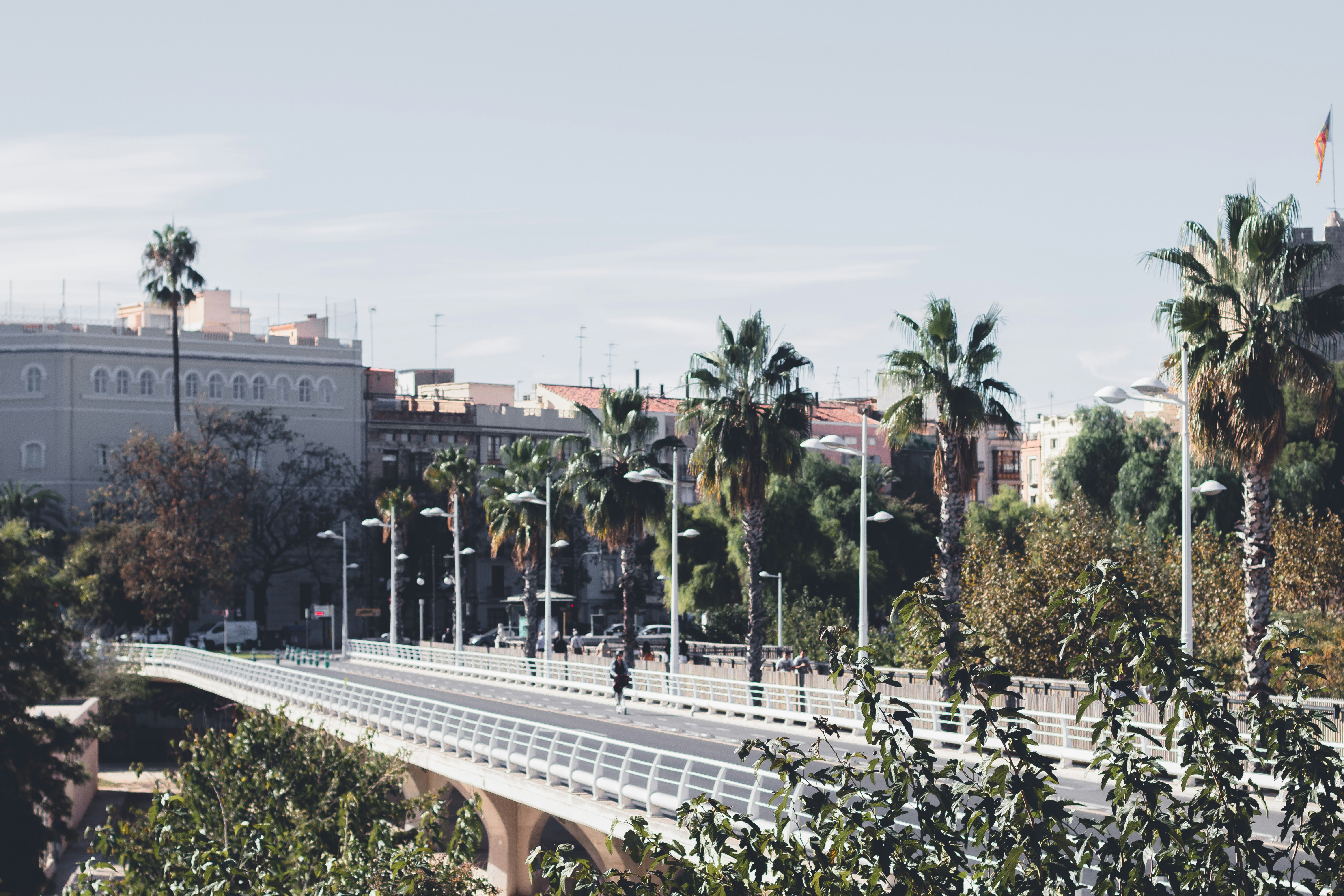 Photo by joemi_chulo