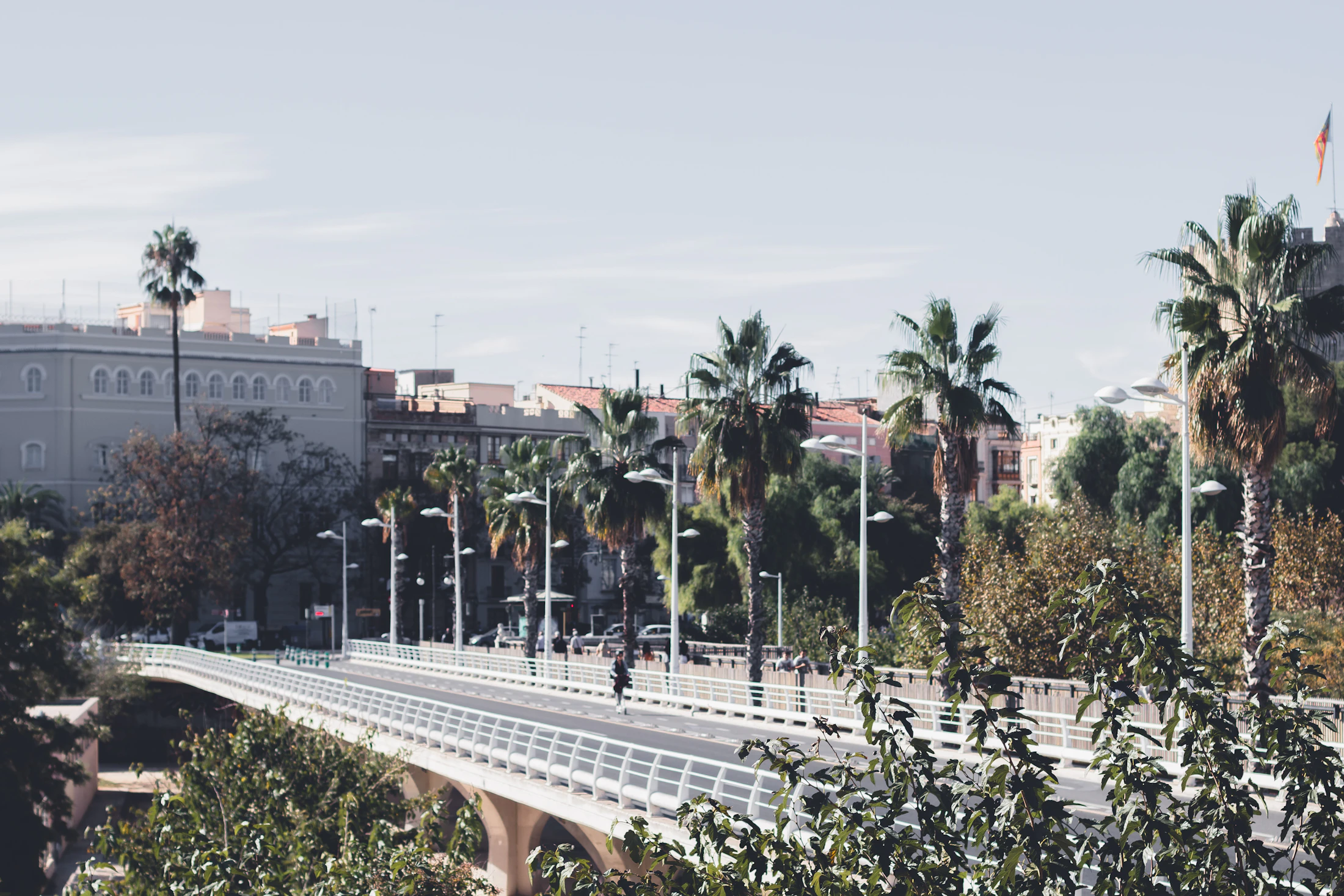 Photo · Joemi Brazier / Unsplash