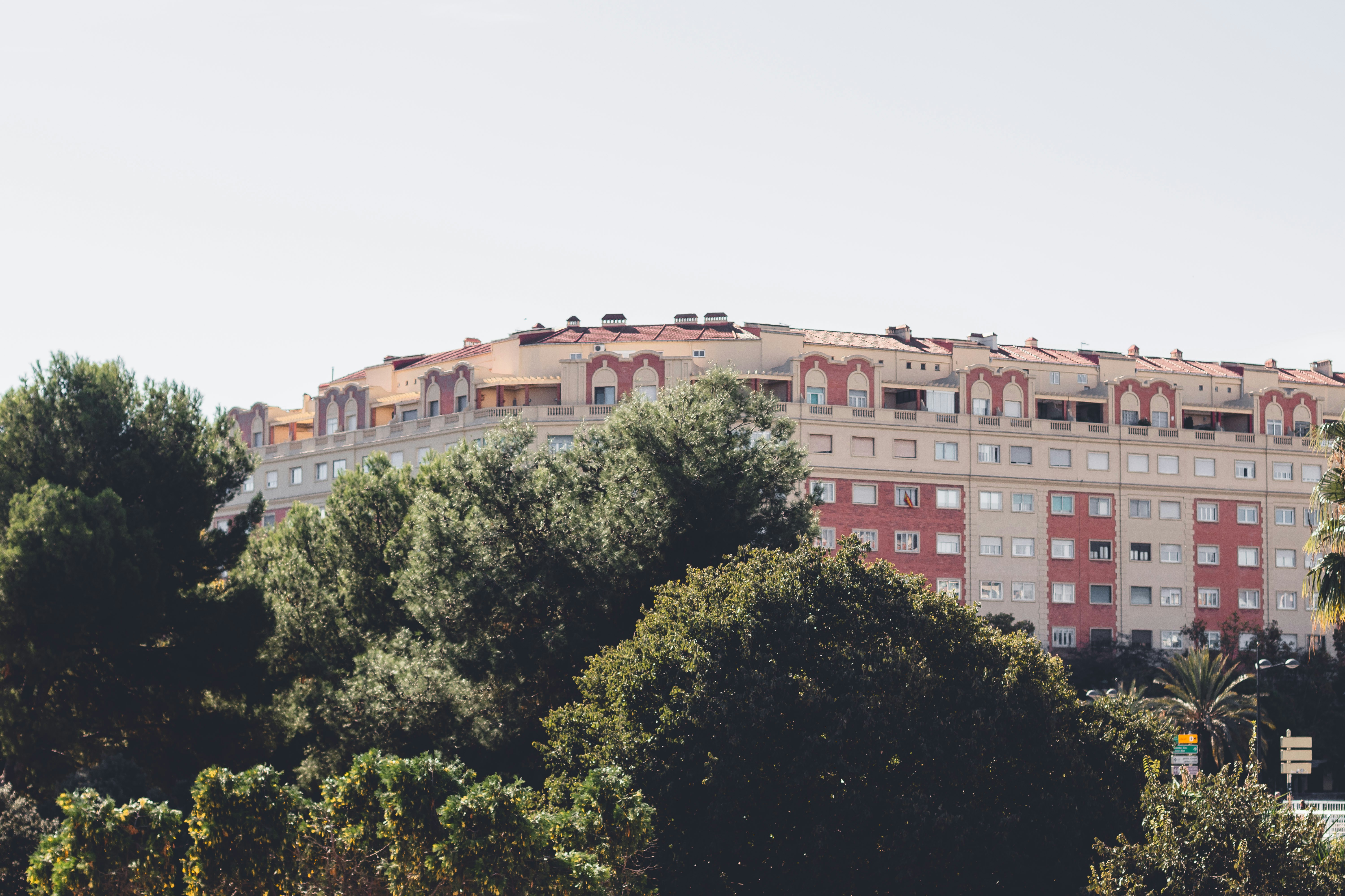 Photo by joemi_chulo