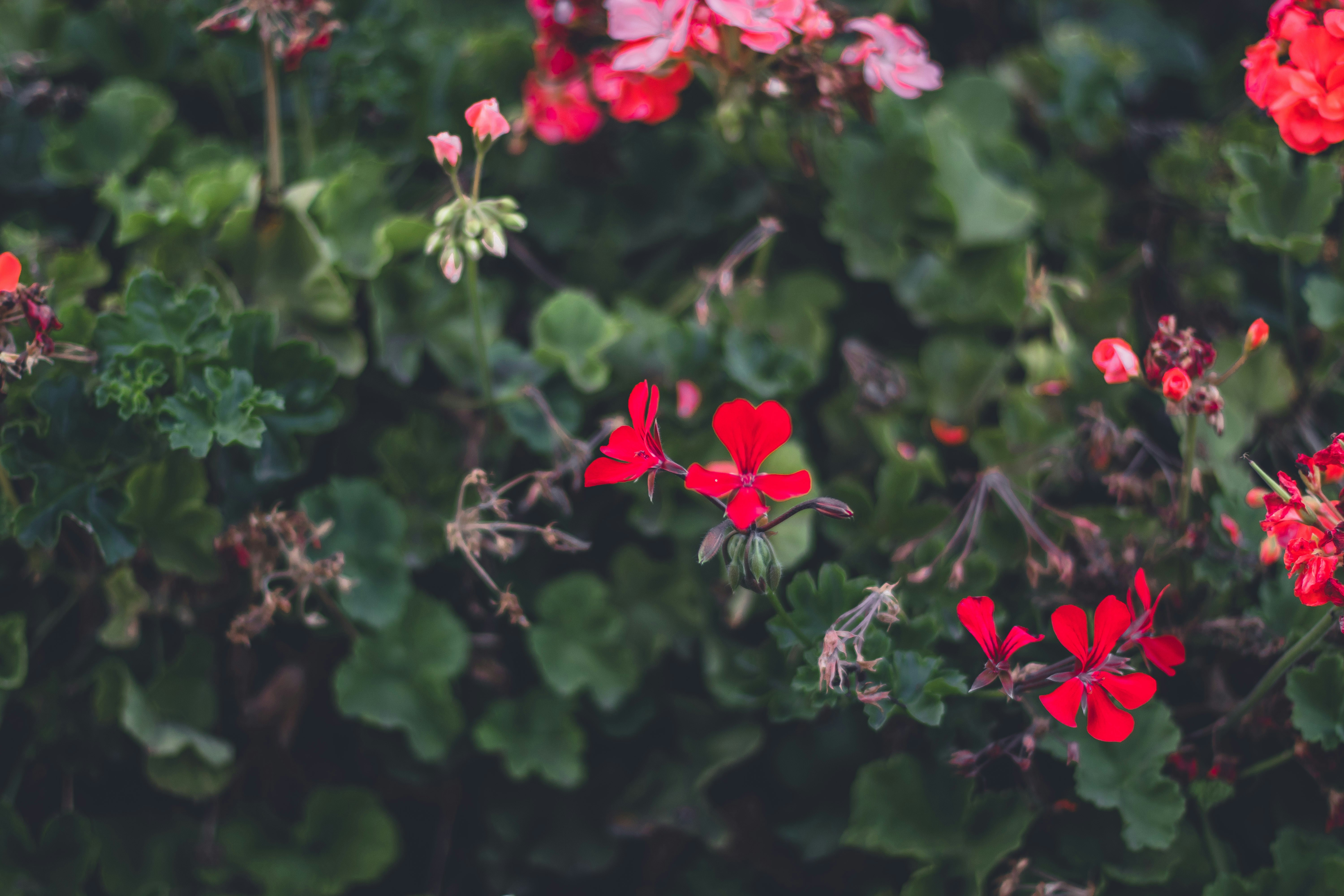 Photo by joemi_chulo