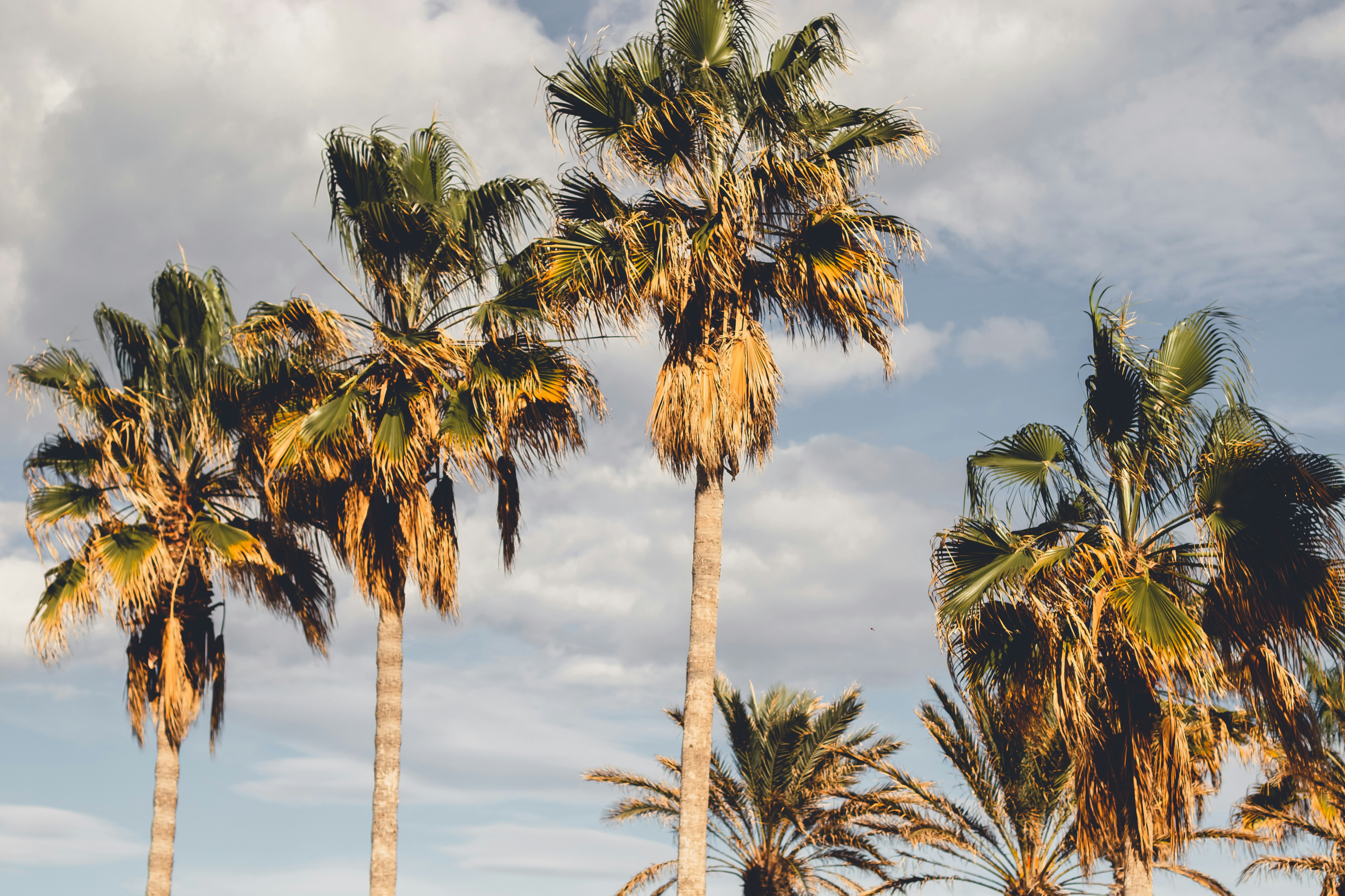 Photo by joemi_chulo