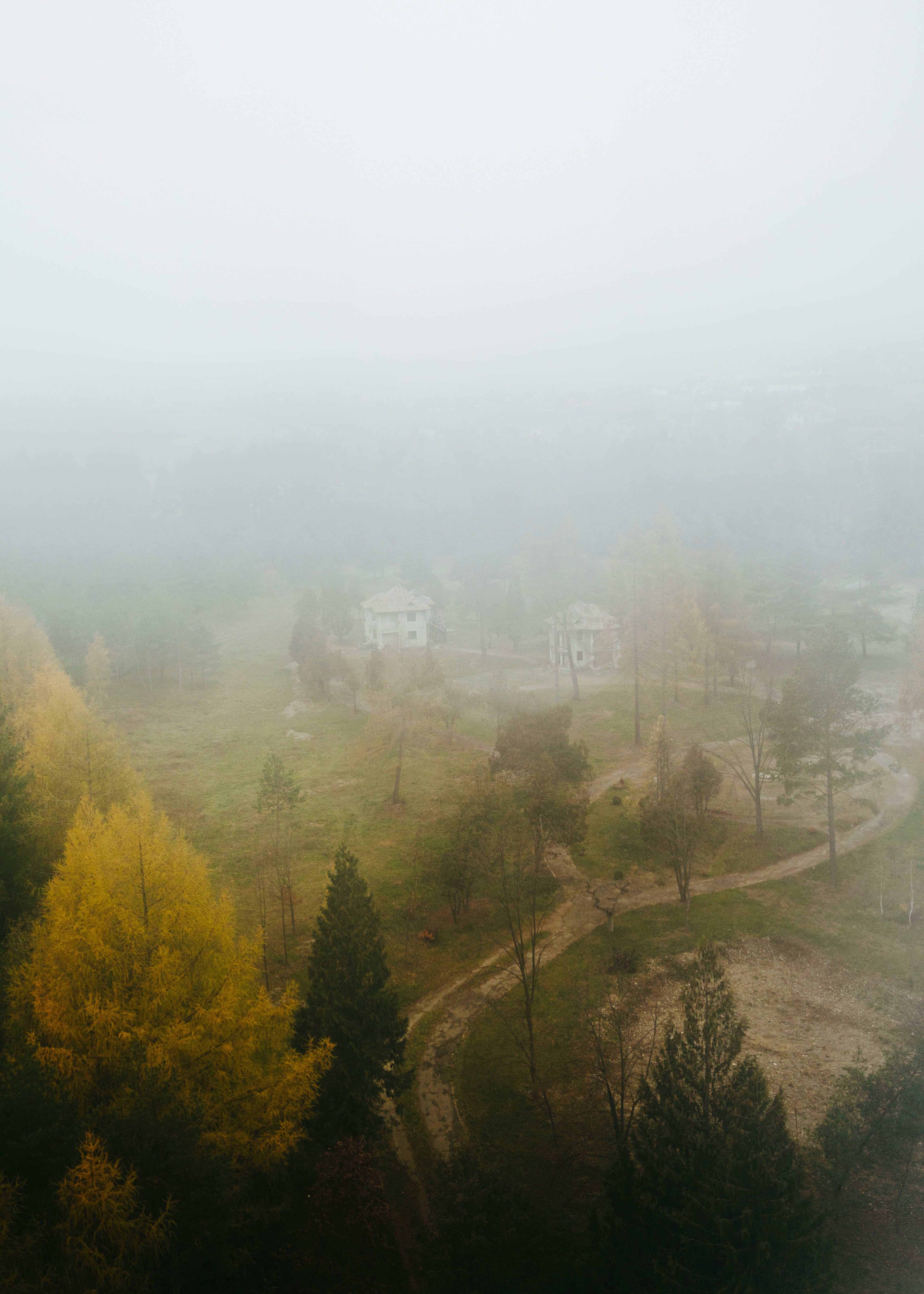 A foggy landscape with trees and houses in the distance
