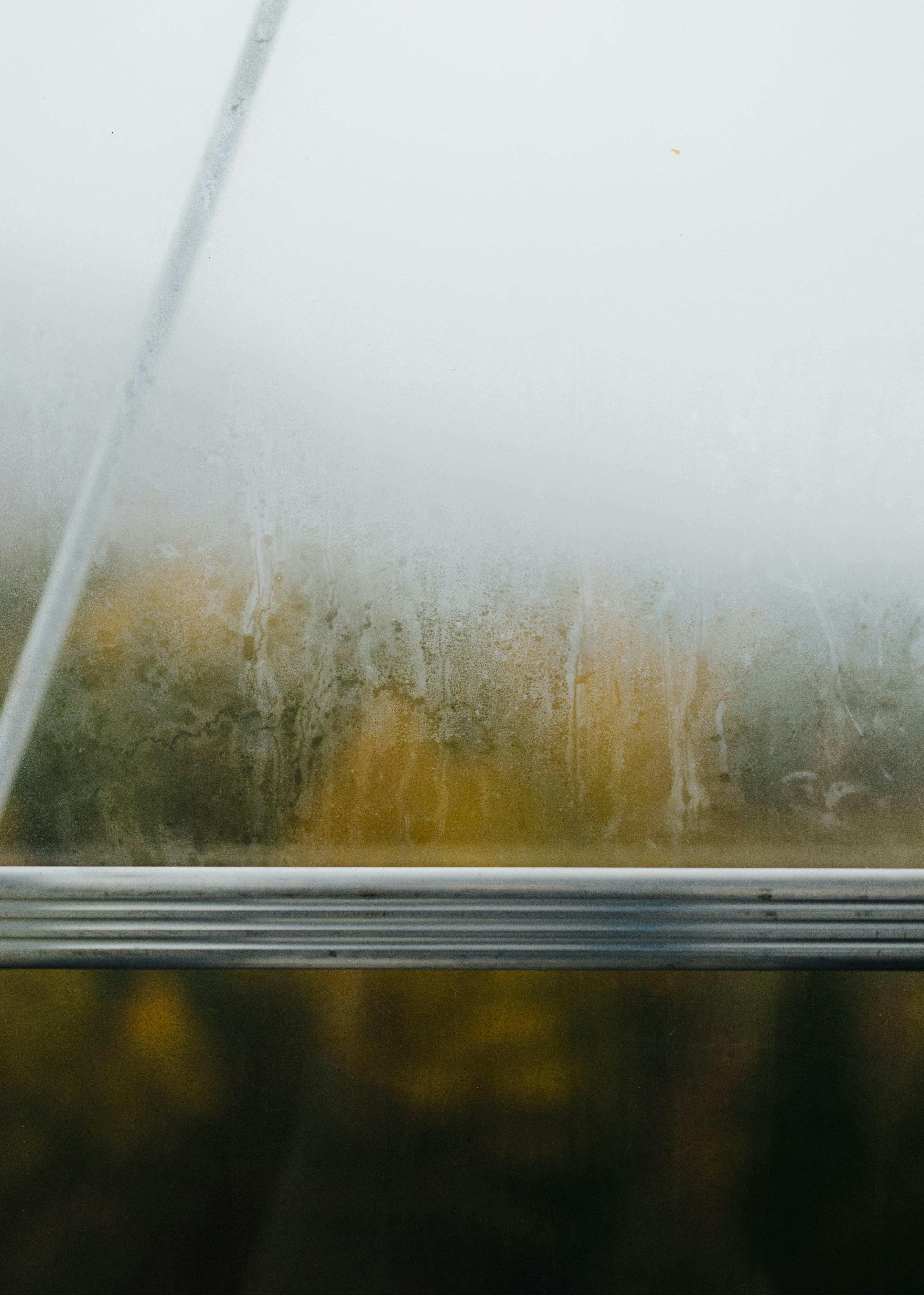 A window with a view of a field outside