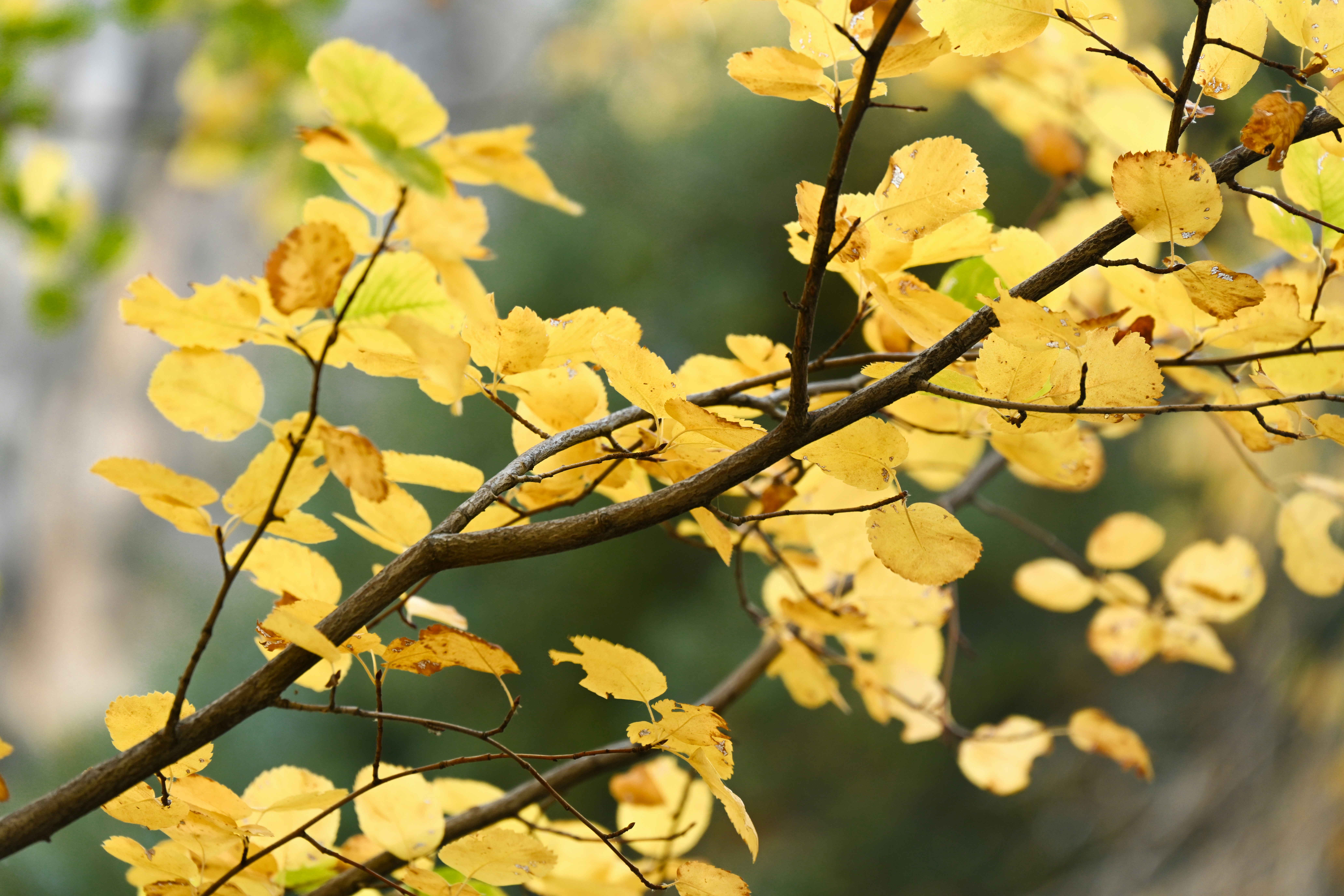 Photo by marybrennan