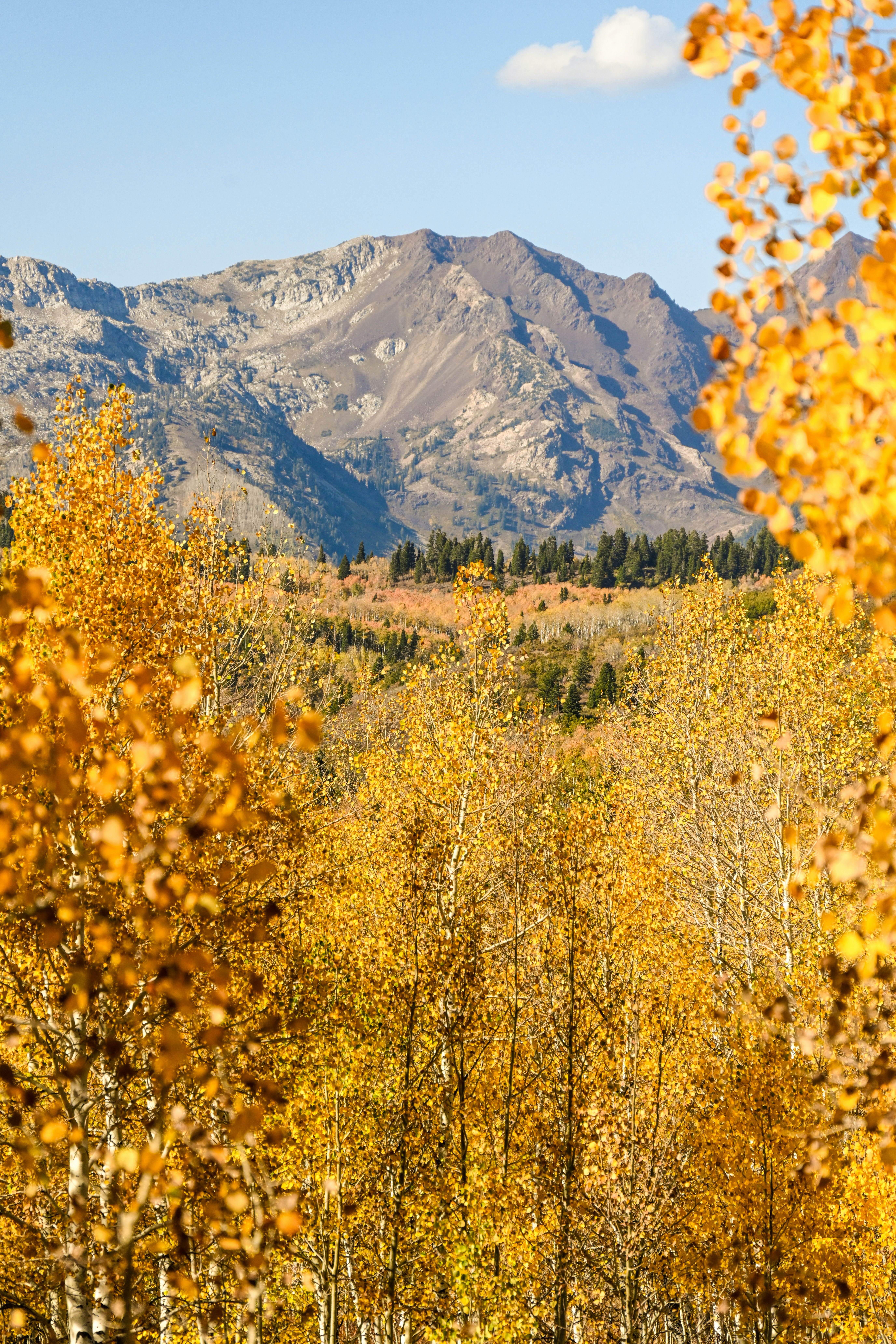 Photo by marybrennan