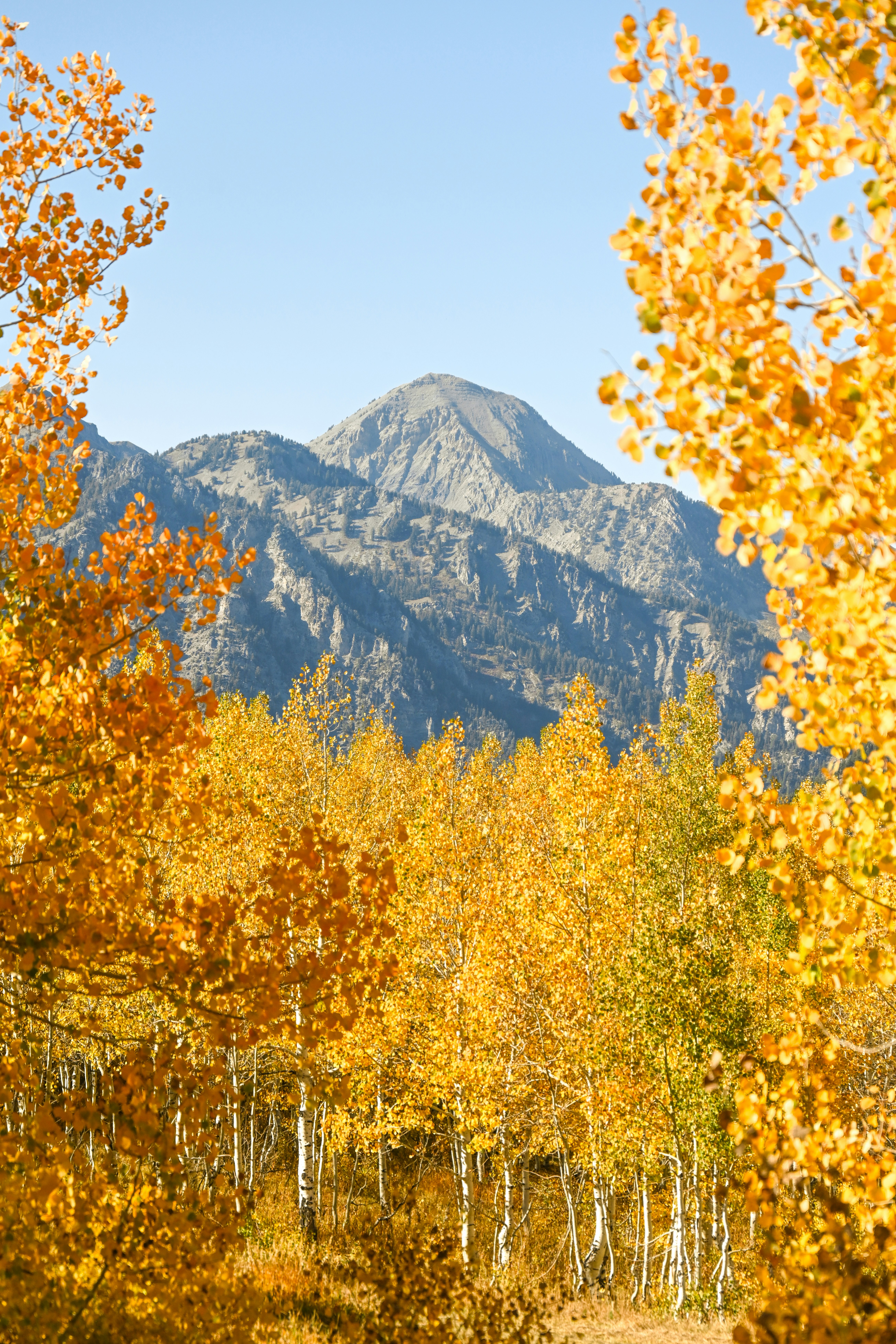 Photo by marybrennan