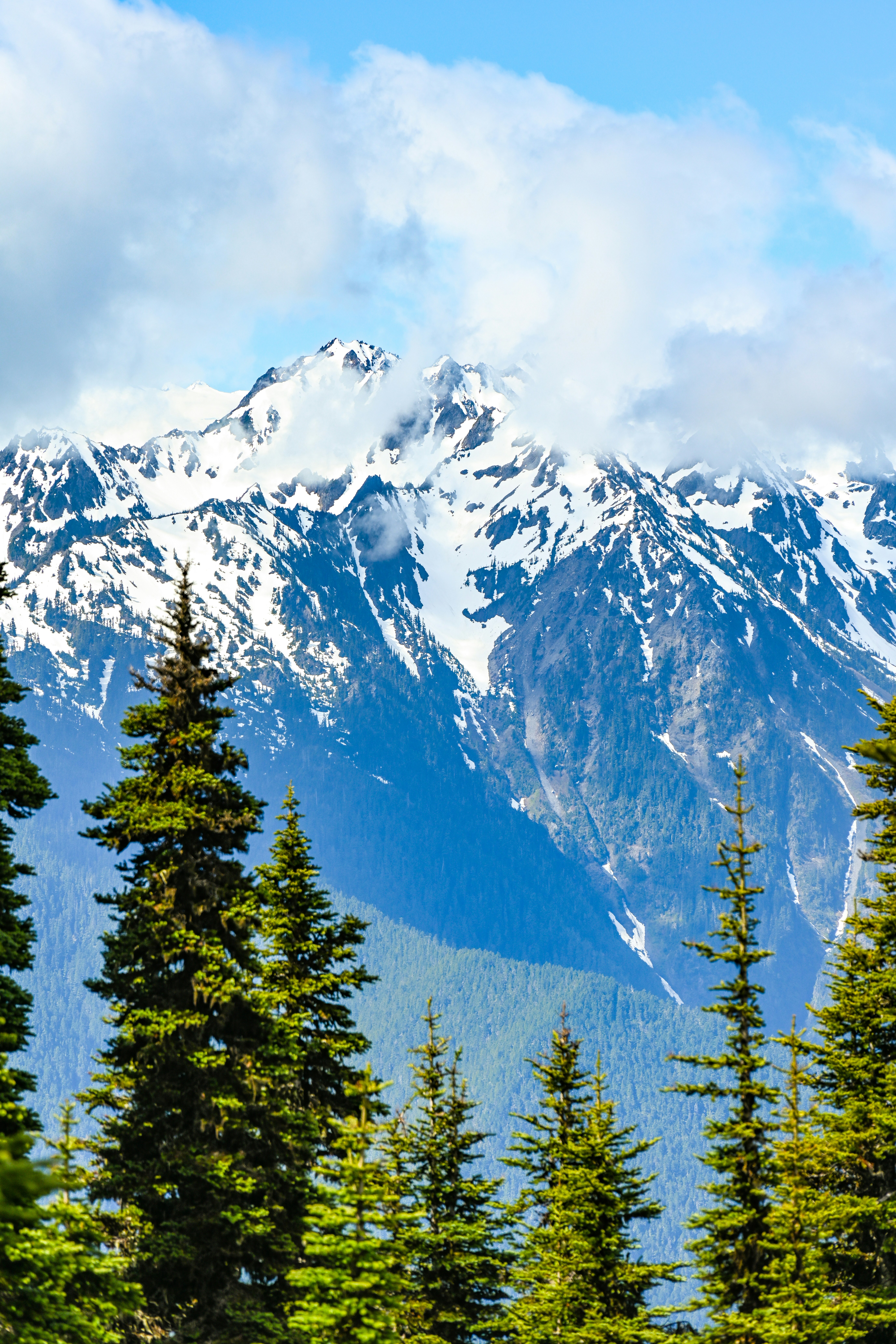 Photo by marybrennan