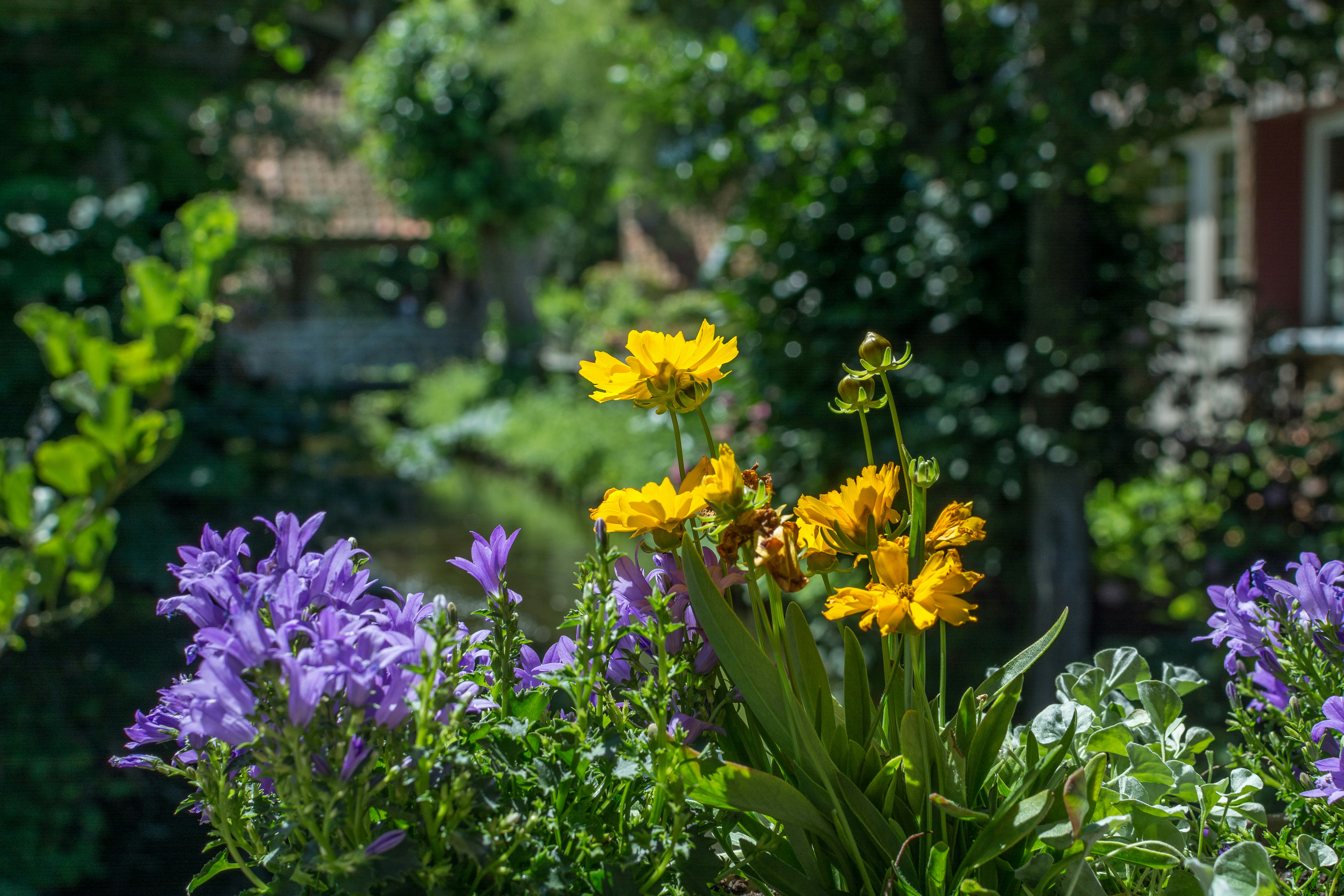 Photo by instantphotos