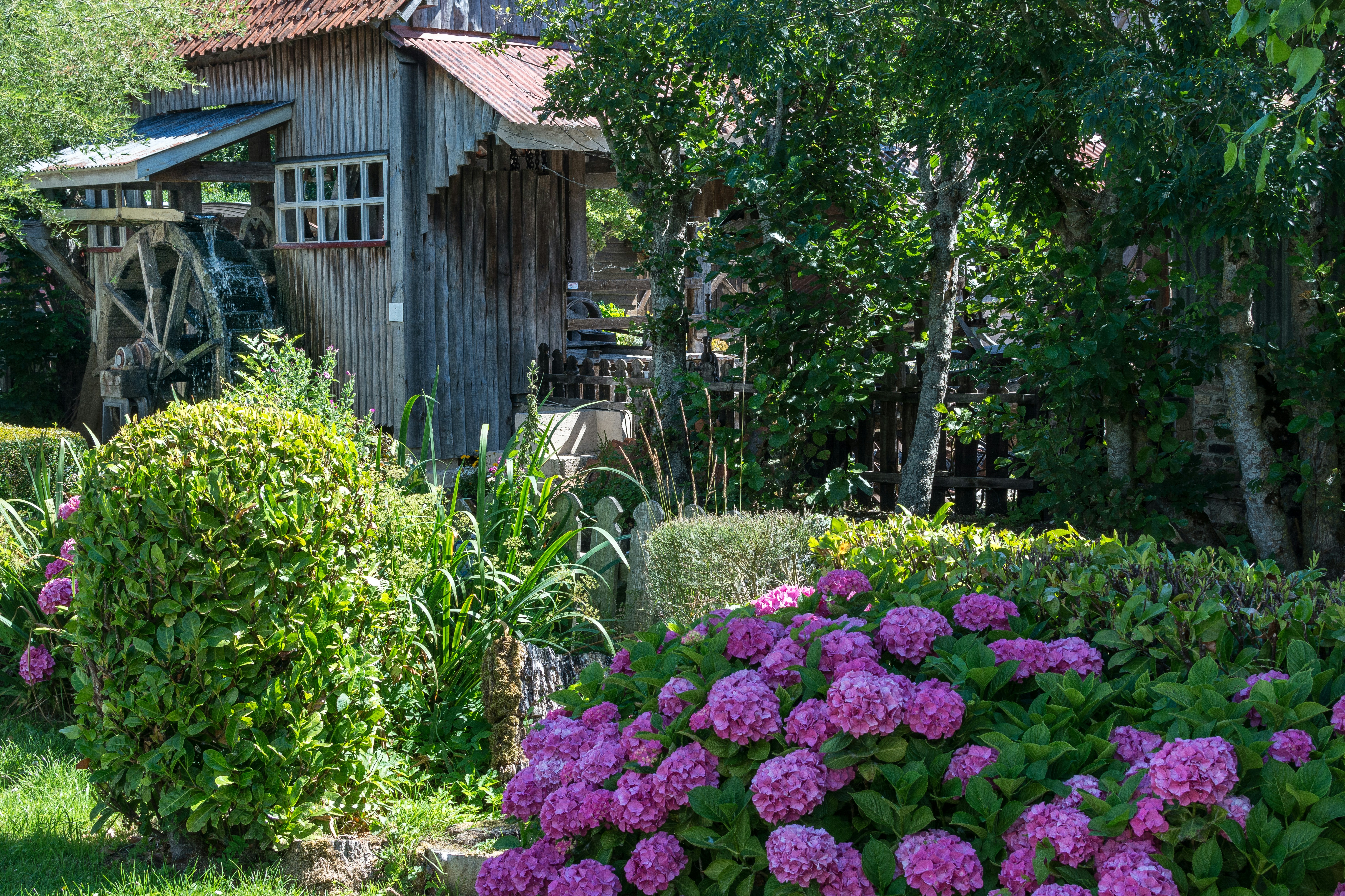 Photo by instantphotos