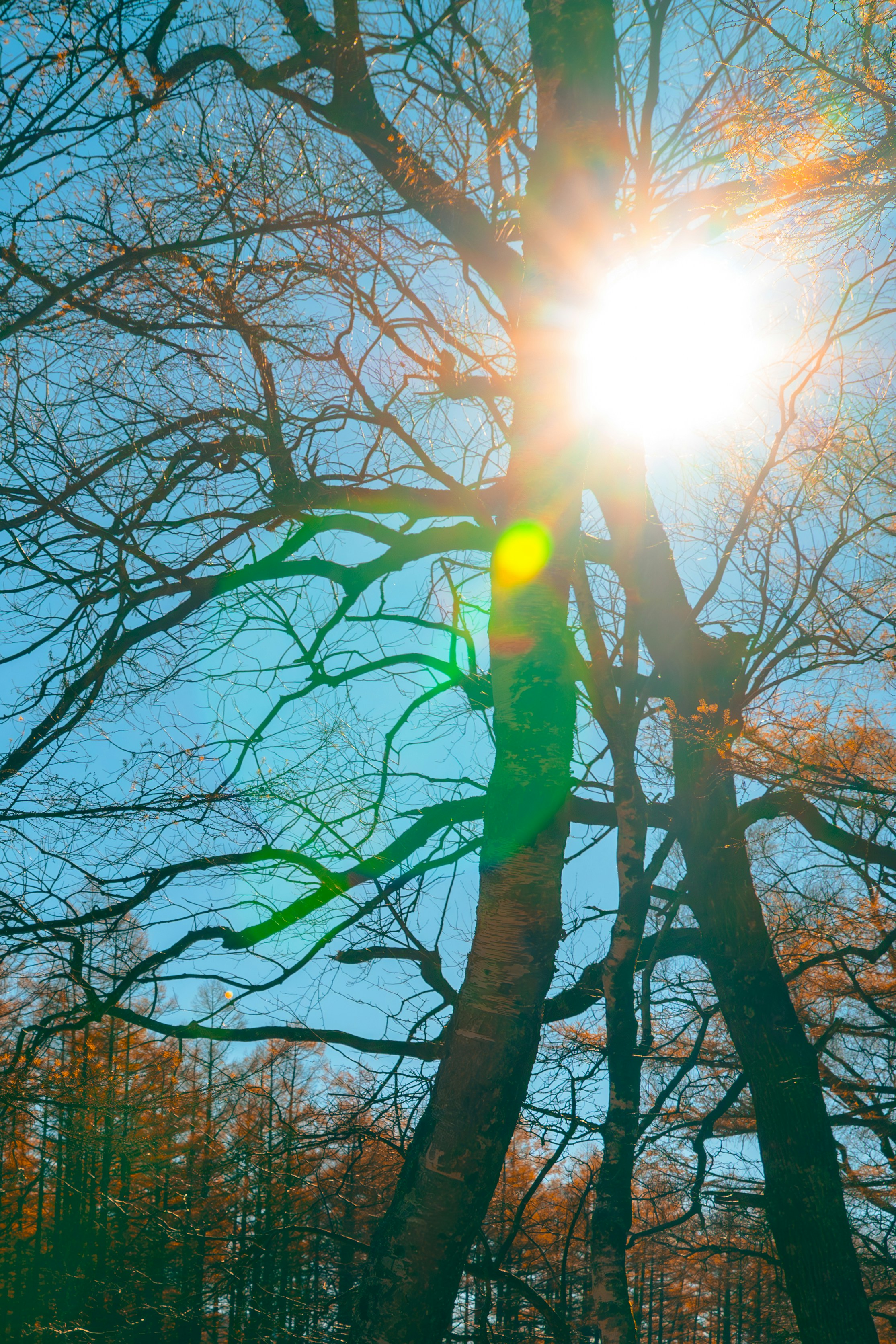 Photo by mahirudake