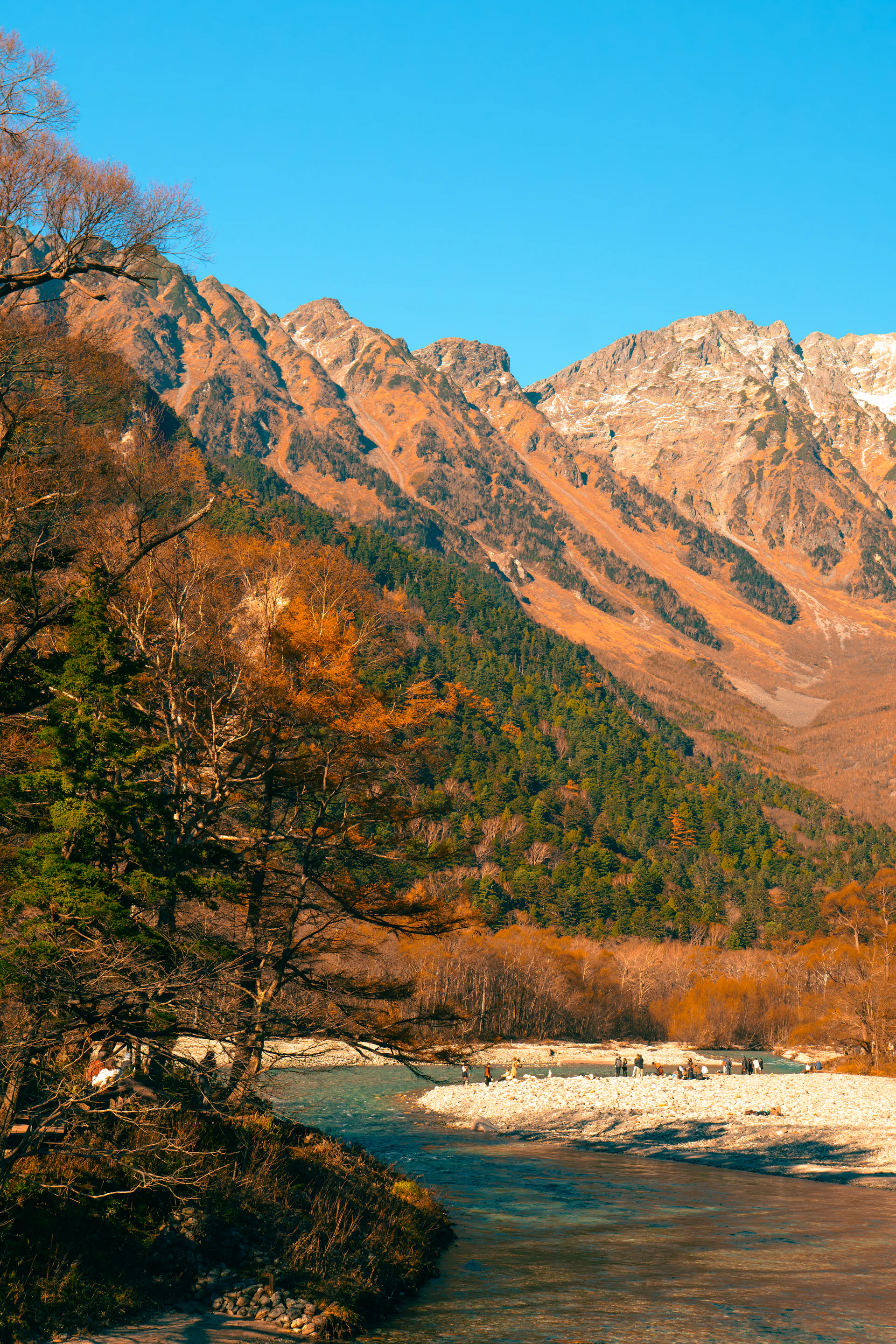 Golden autumn larches below the rugged Hotaka peaks above the Azusa River, Kamikochi