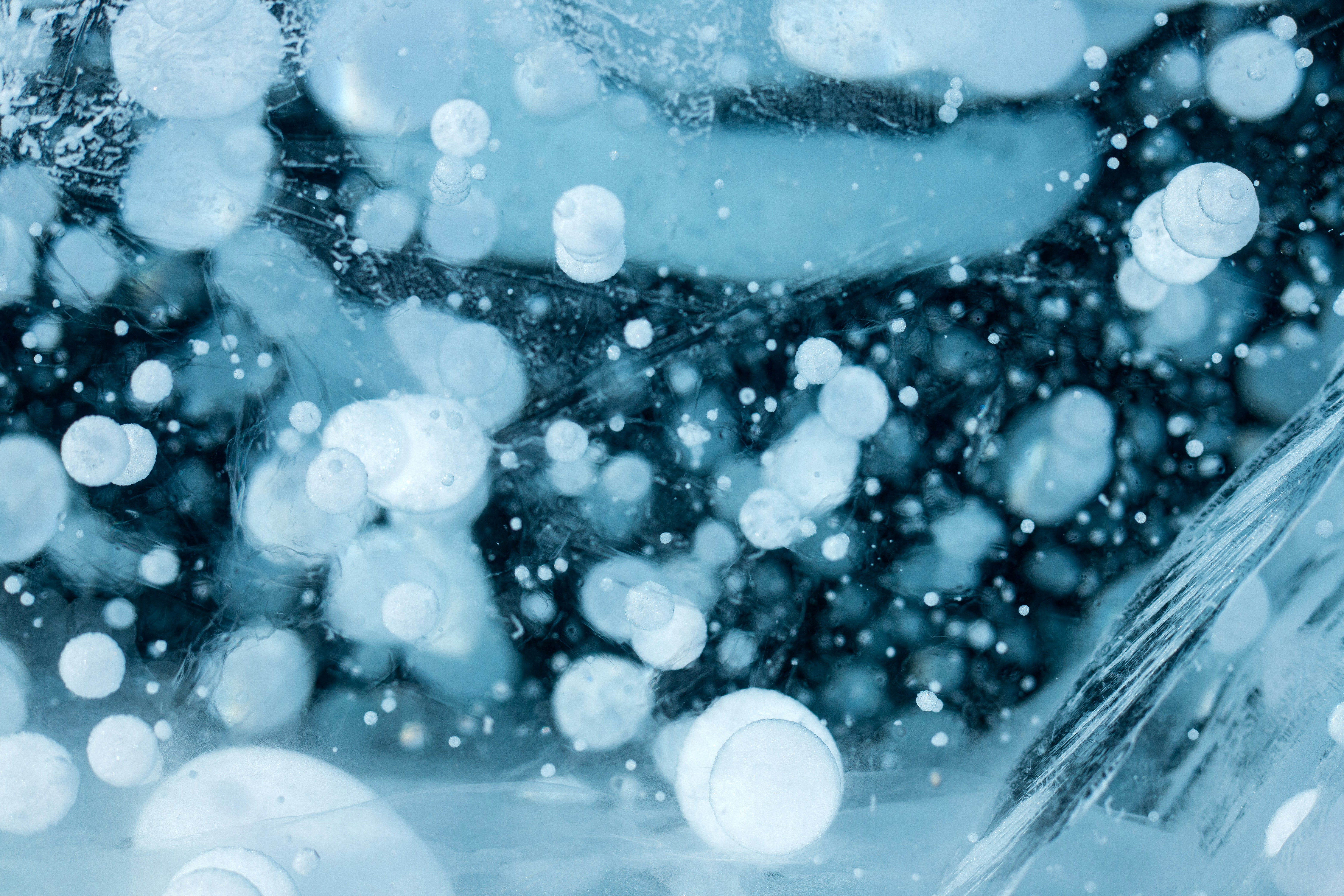 Photo by stef_enheart