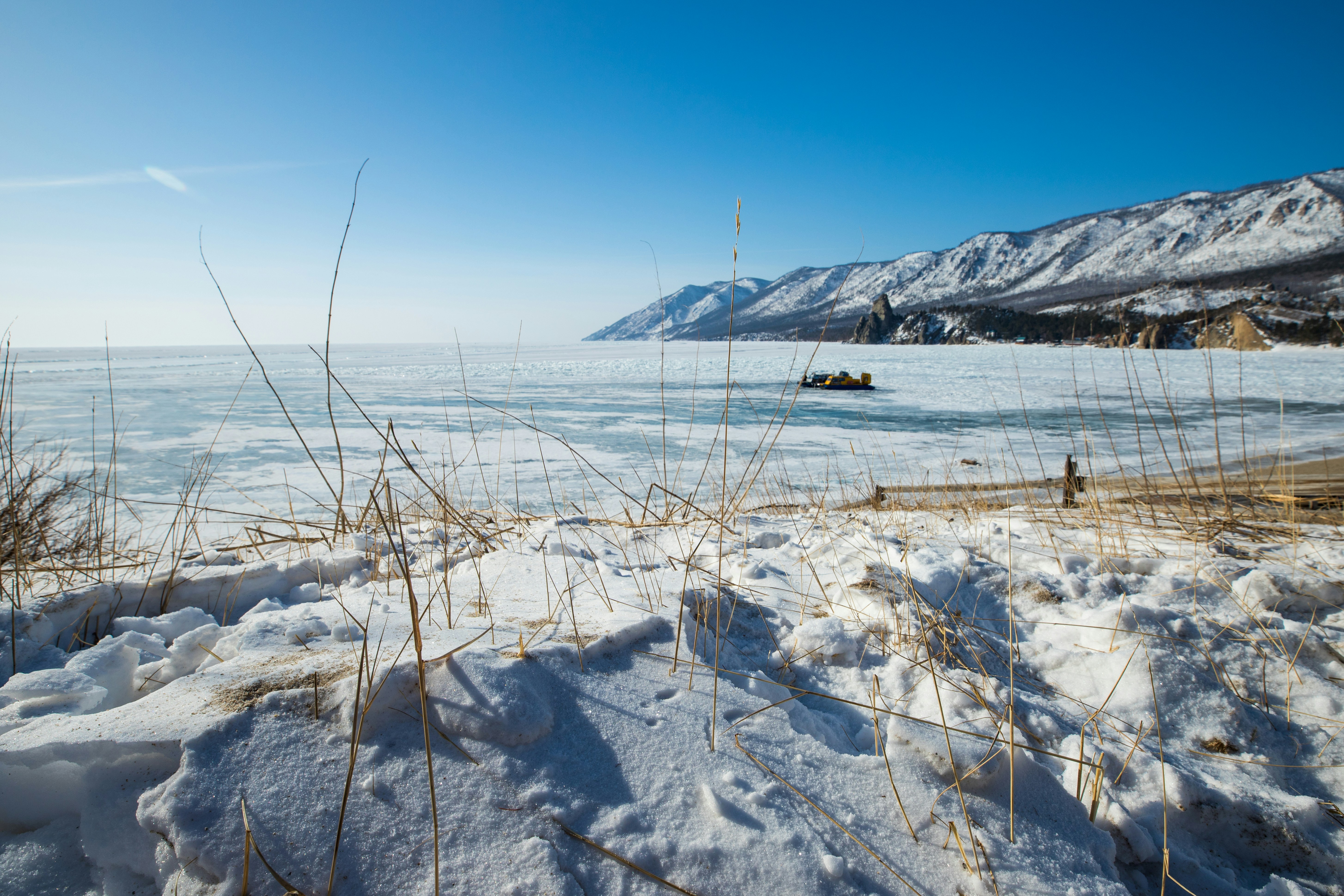 Photo by stef_enheart