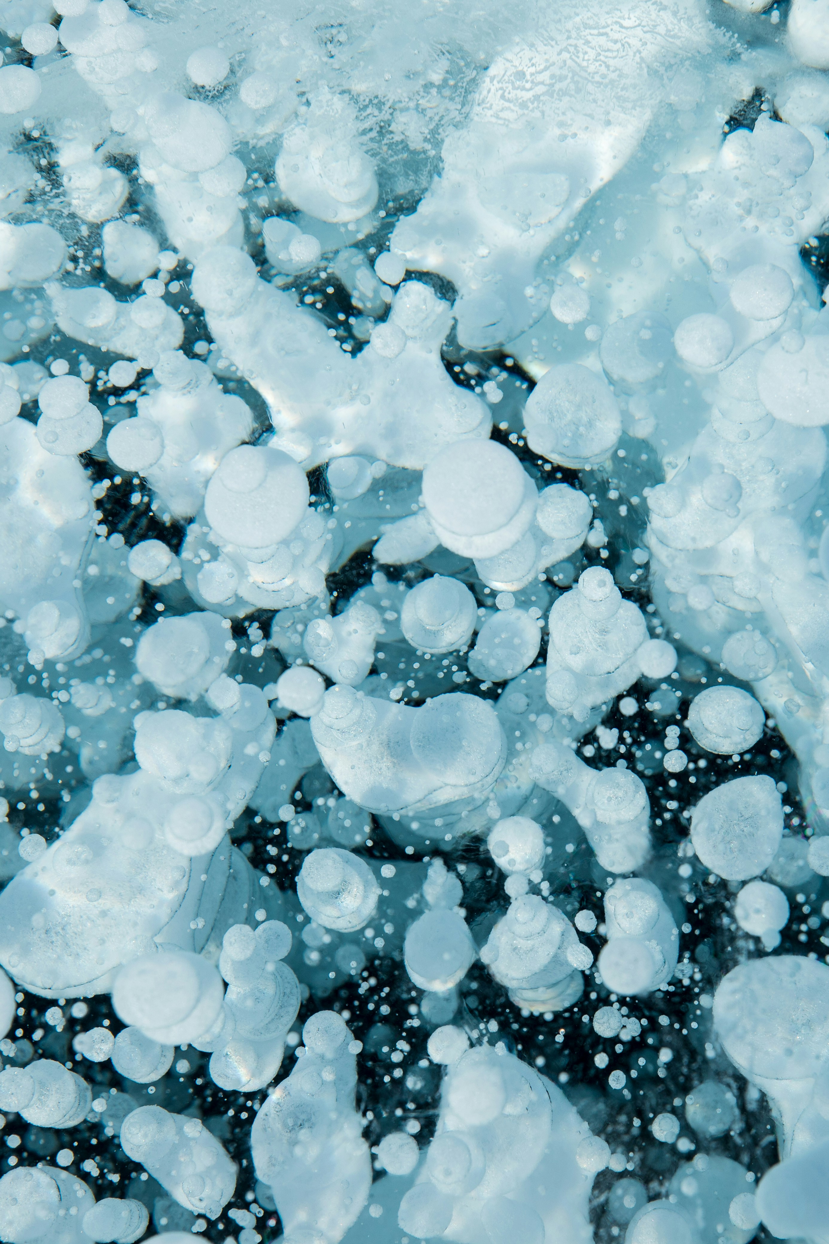 Photo by stef_enheart