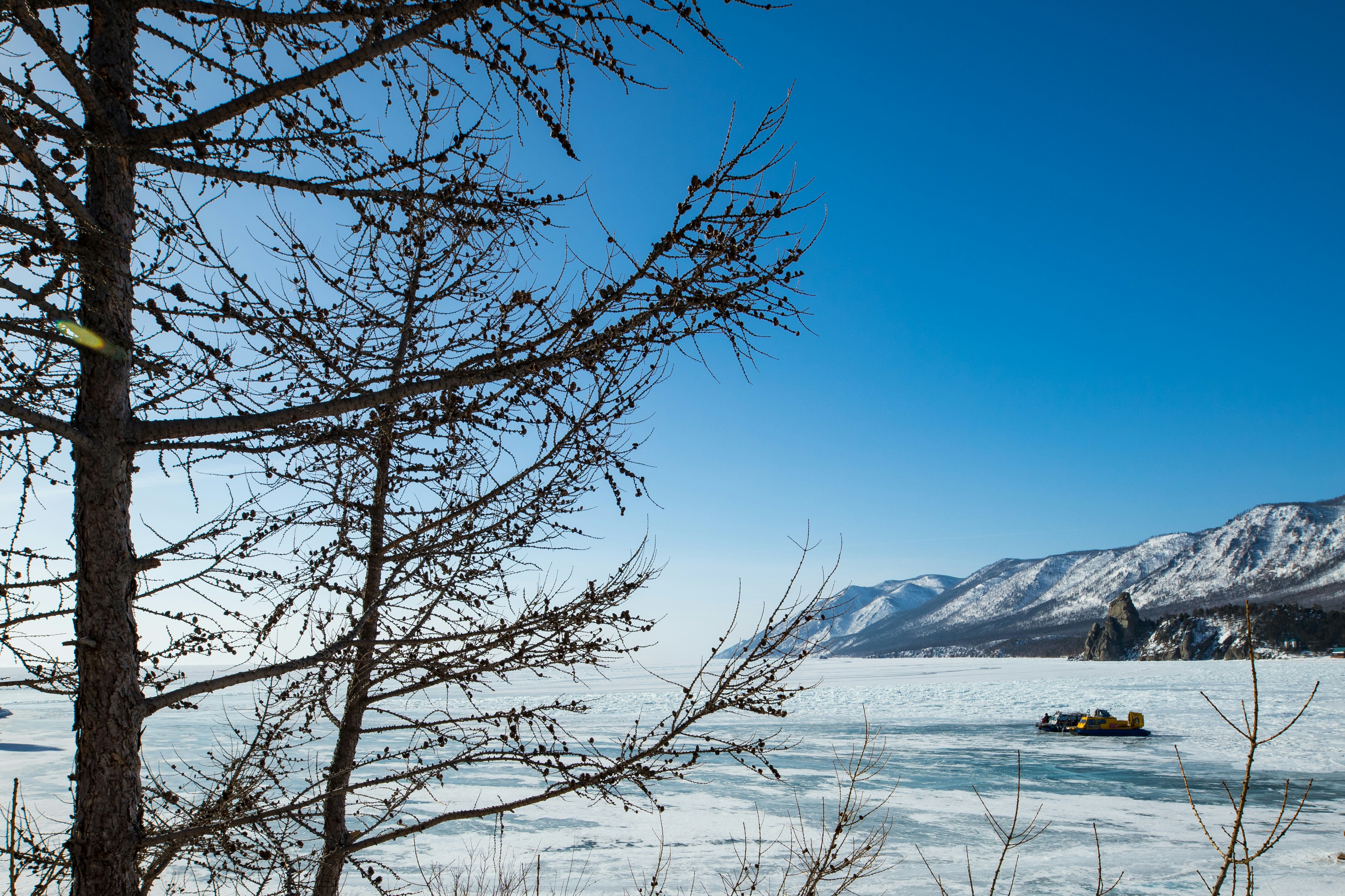 Photo by stef_enheart