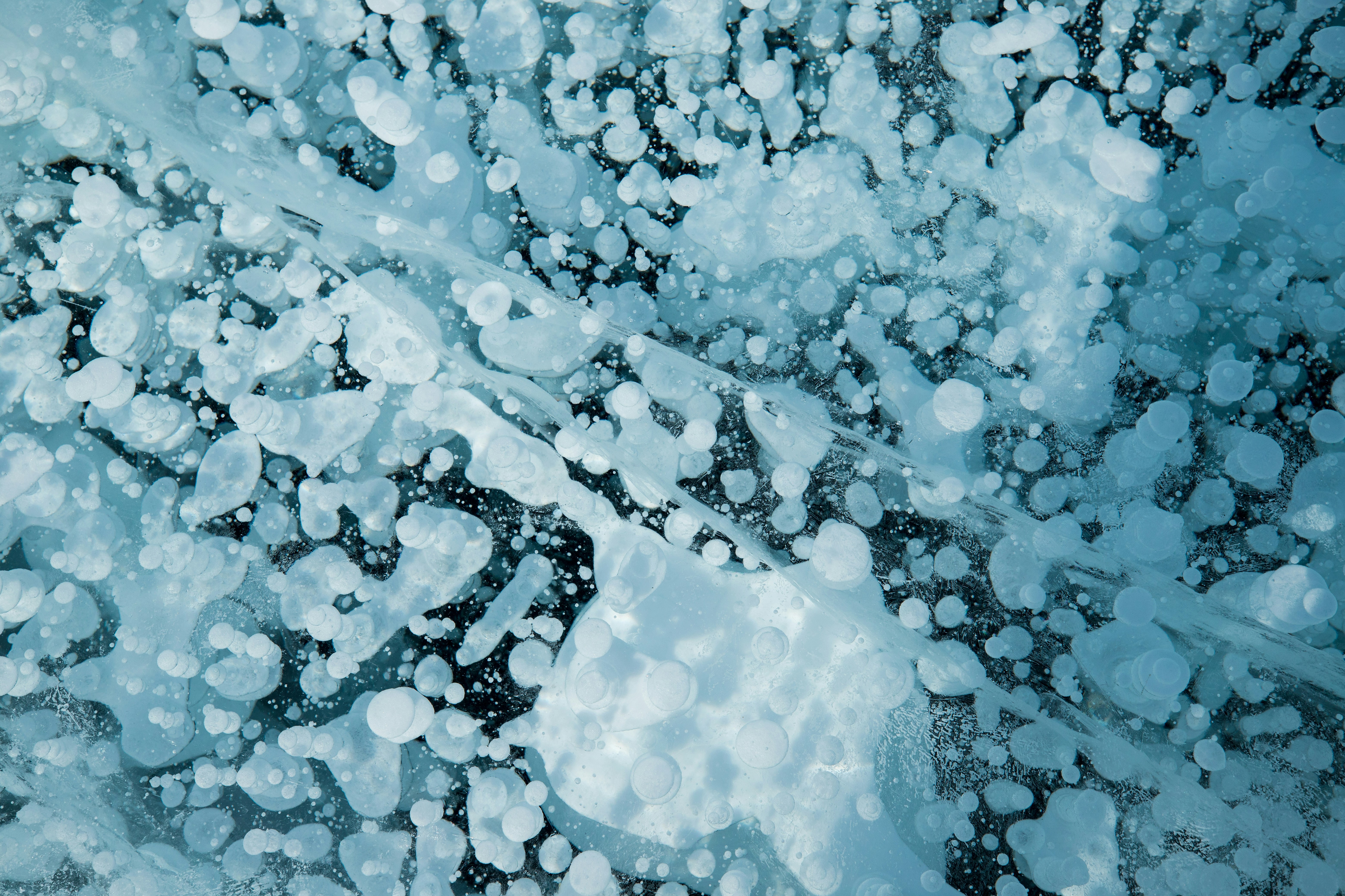 Photo by stef_enheart