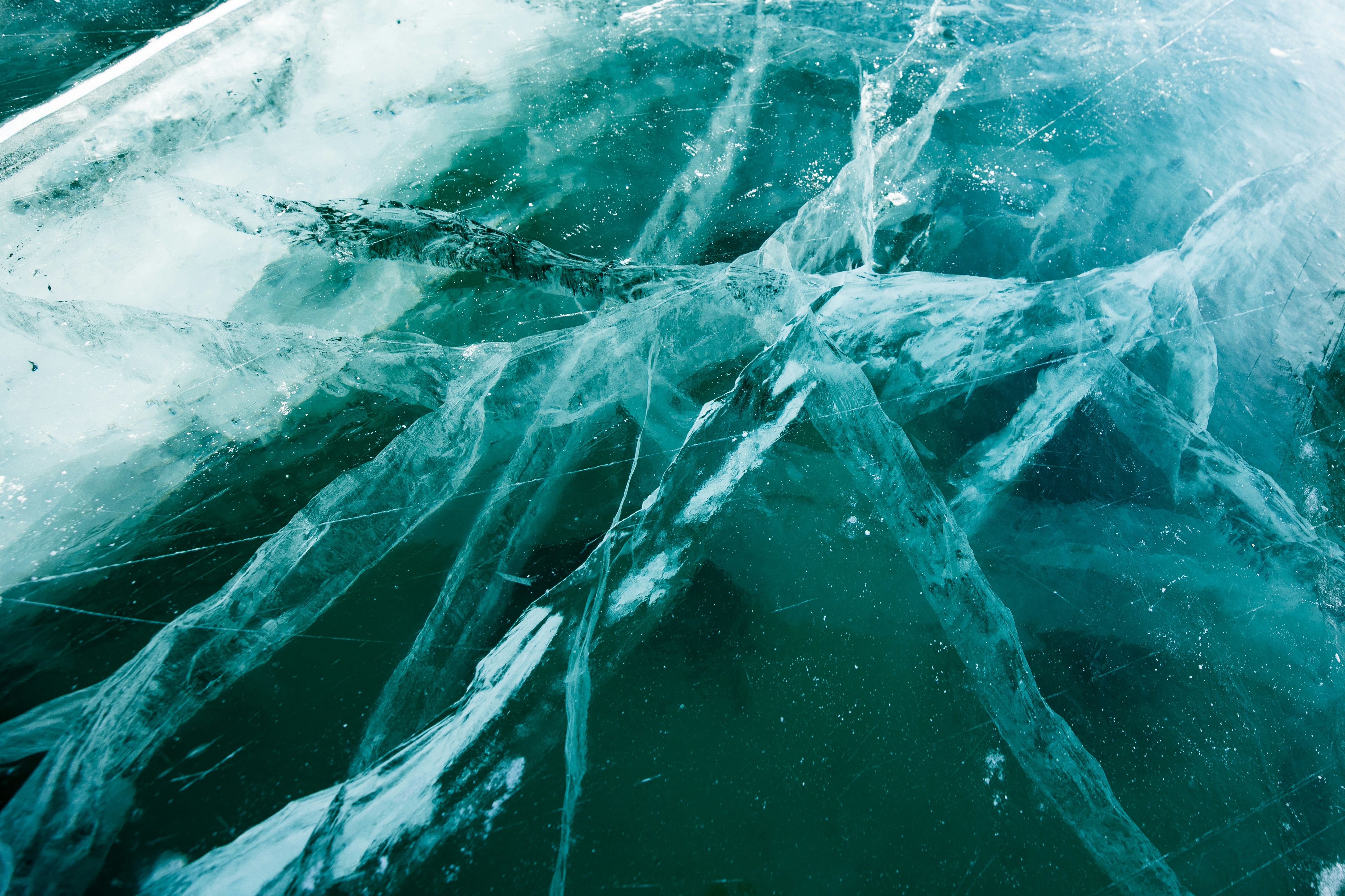 Photo by stef_enheart