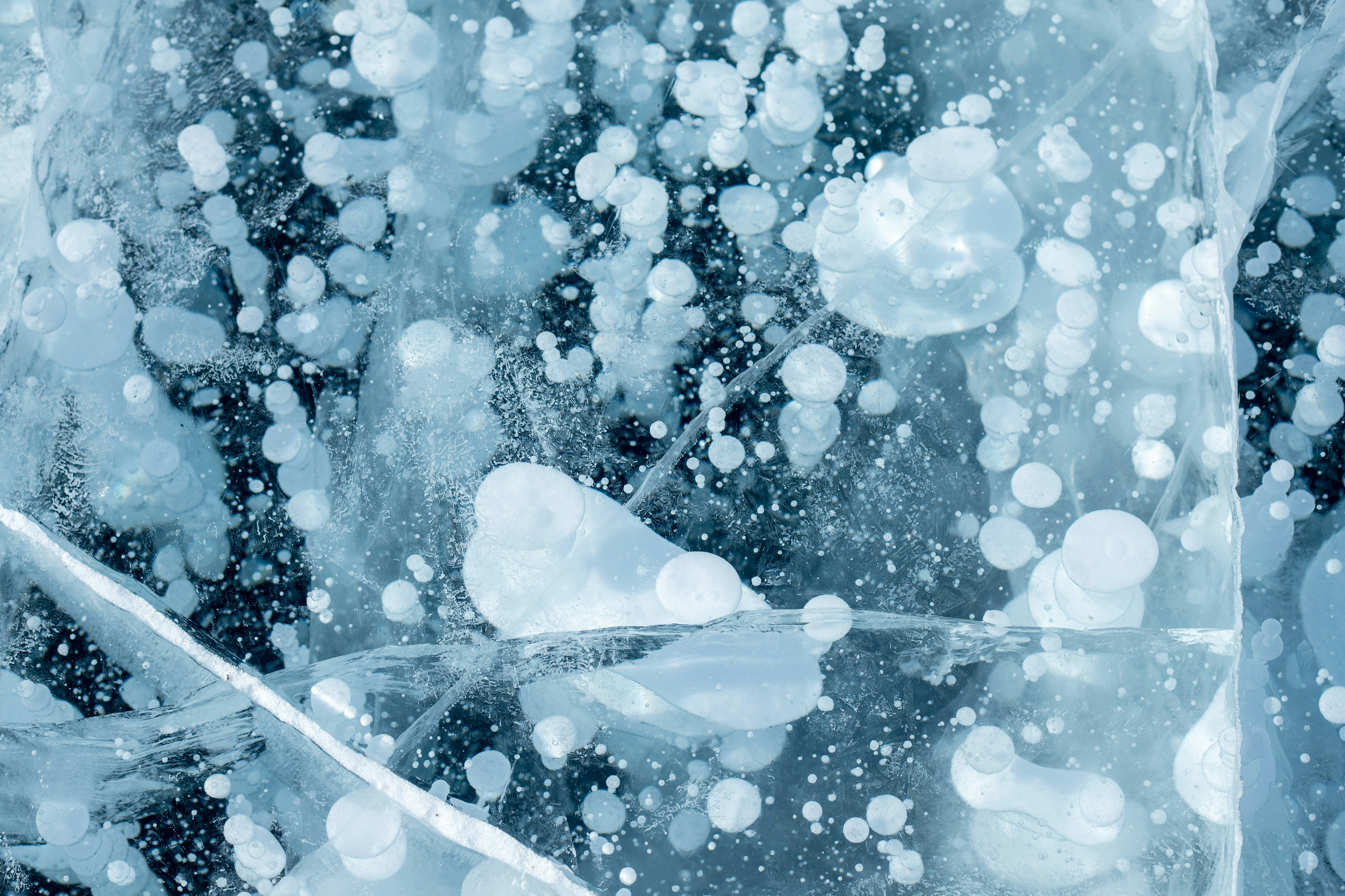 Photo by stef_enheart