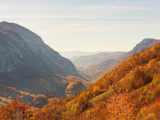 韓国の紅葉一人旅、南怡島と雪岳山どっちに行く？