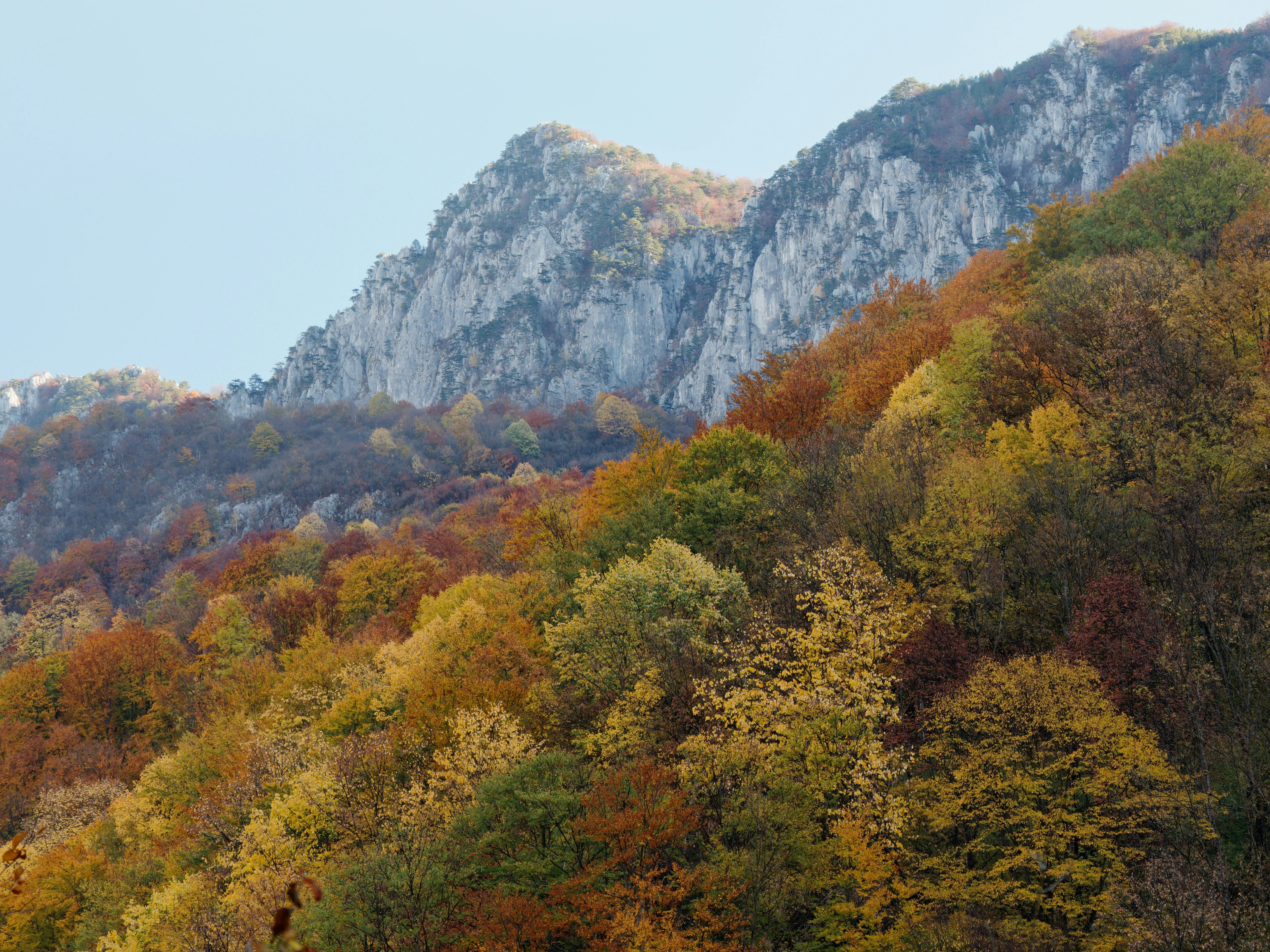 A mountain covered in lots of colorful trees