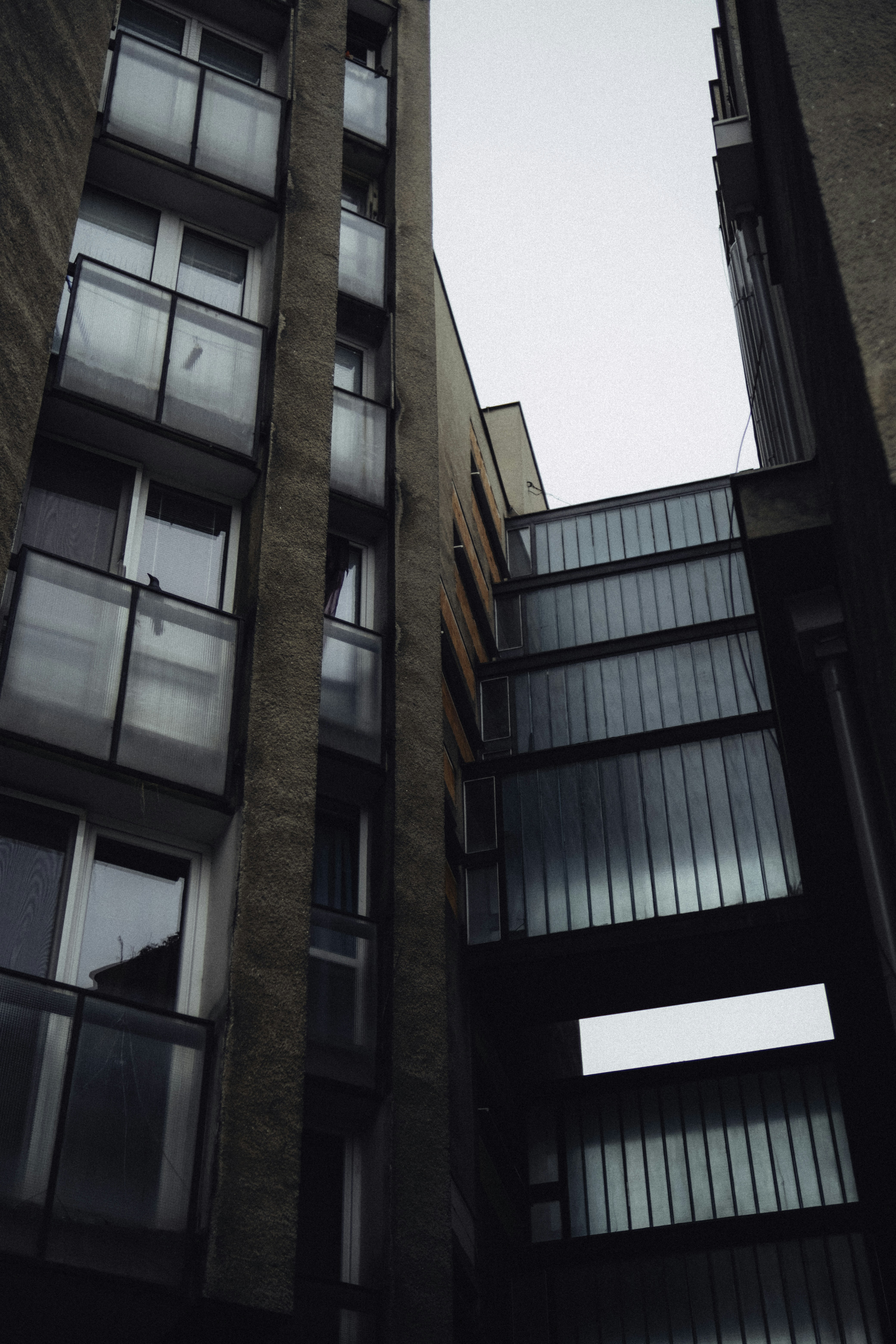 Photo by martin_siblik