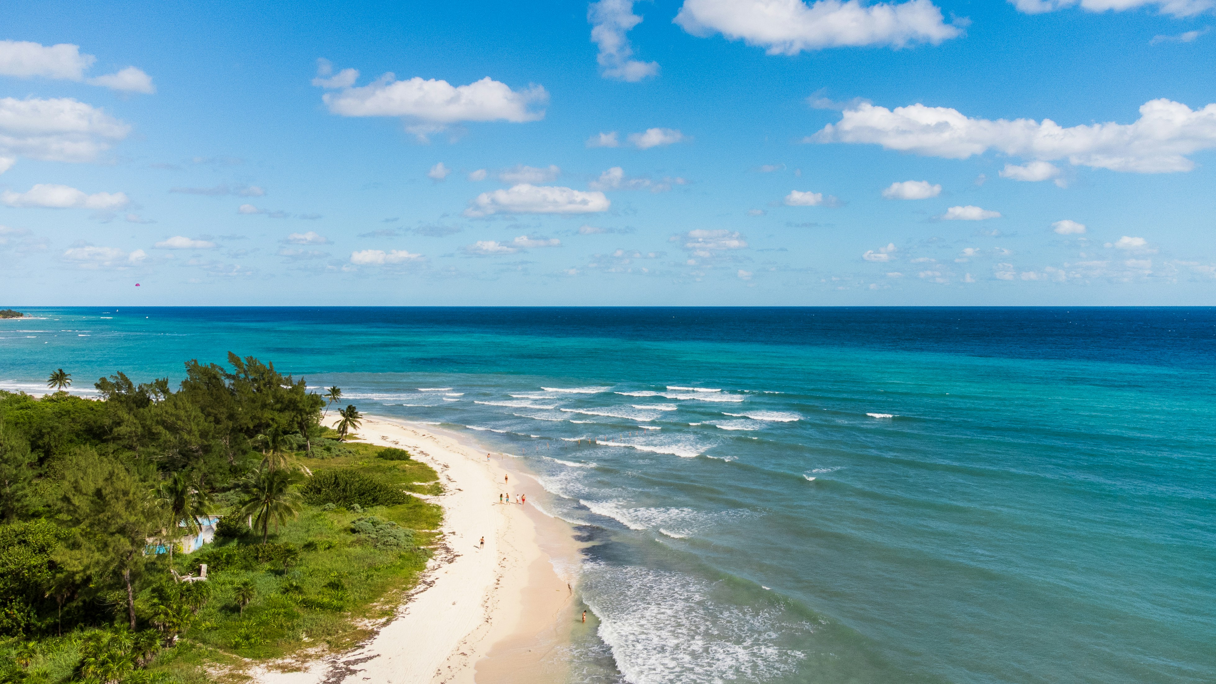 An aerial view of a beach and ocean, 
