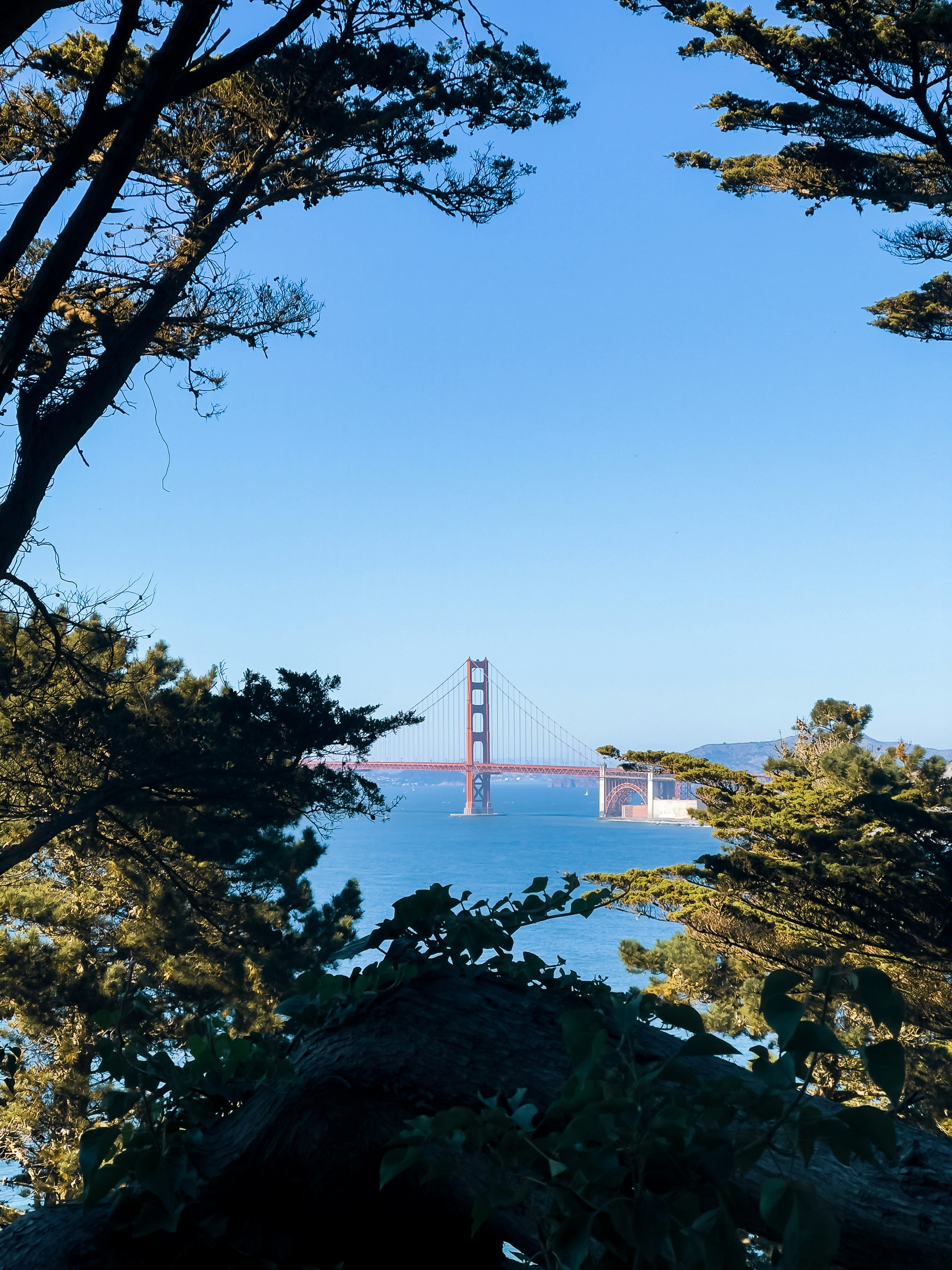 Photo by leonardoescala