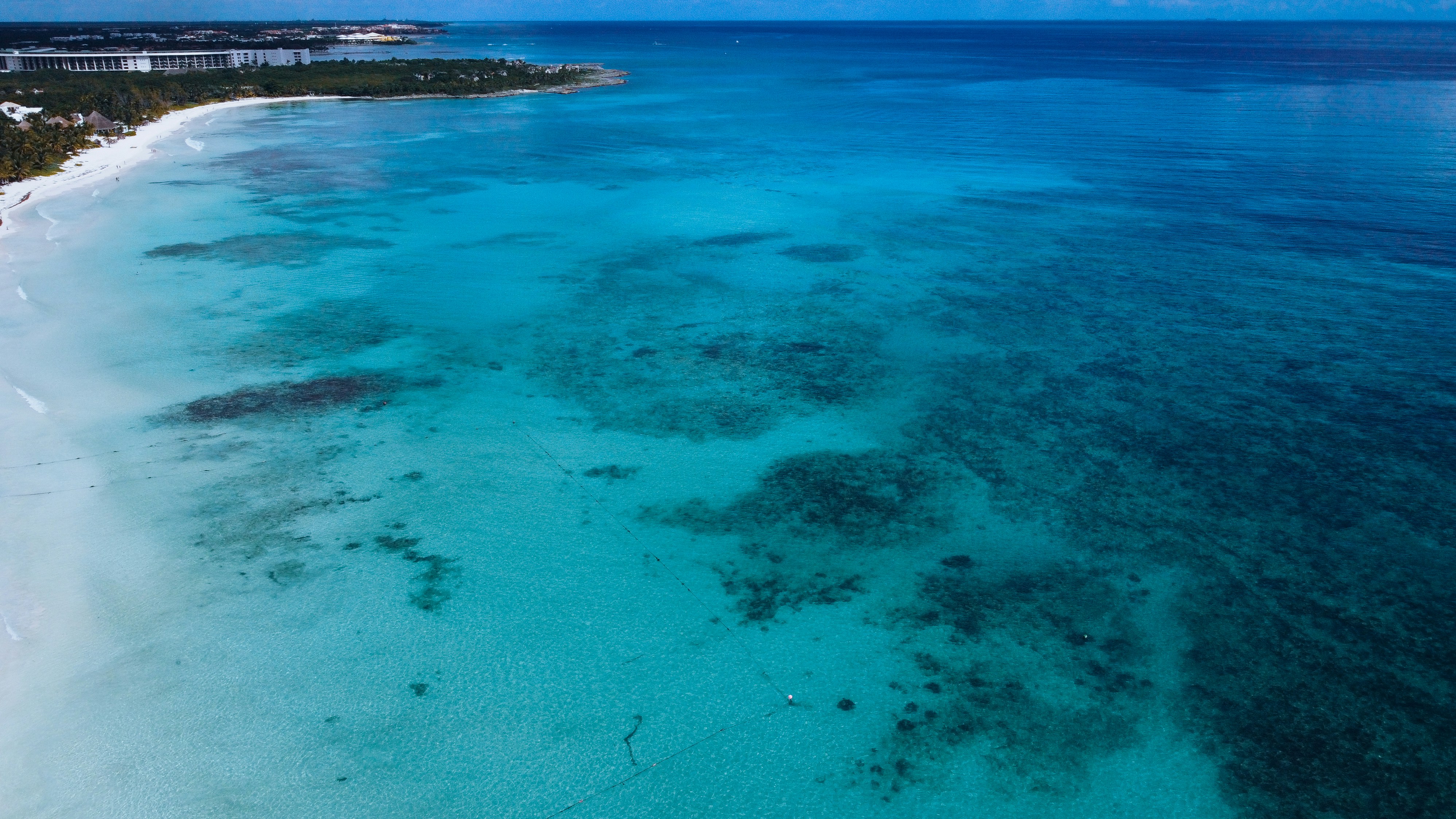 Photo by leonardoescala