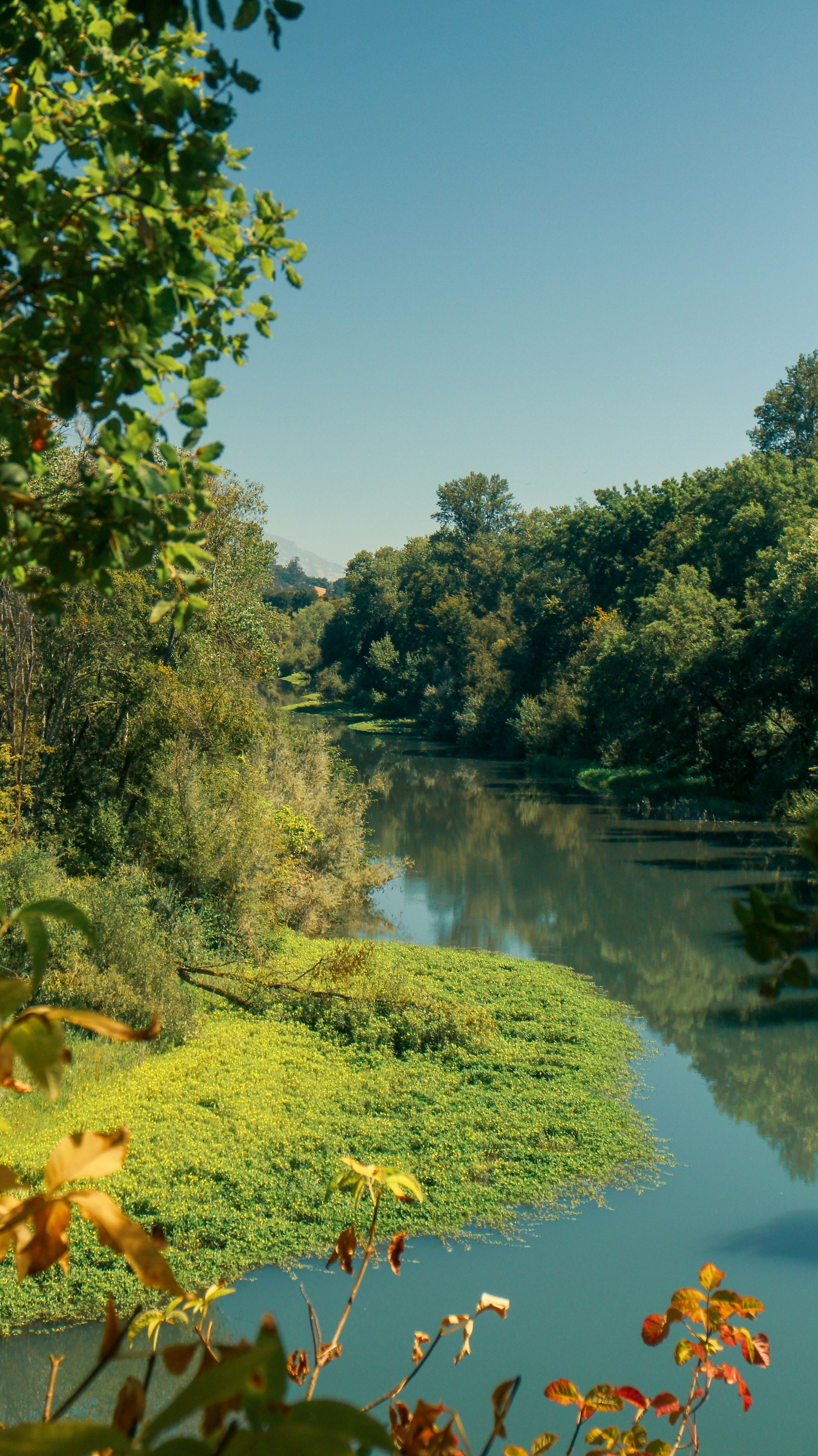 Photo by leonardoescala