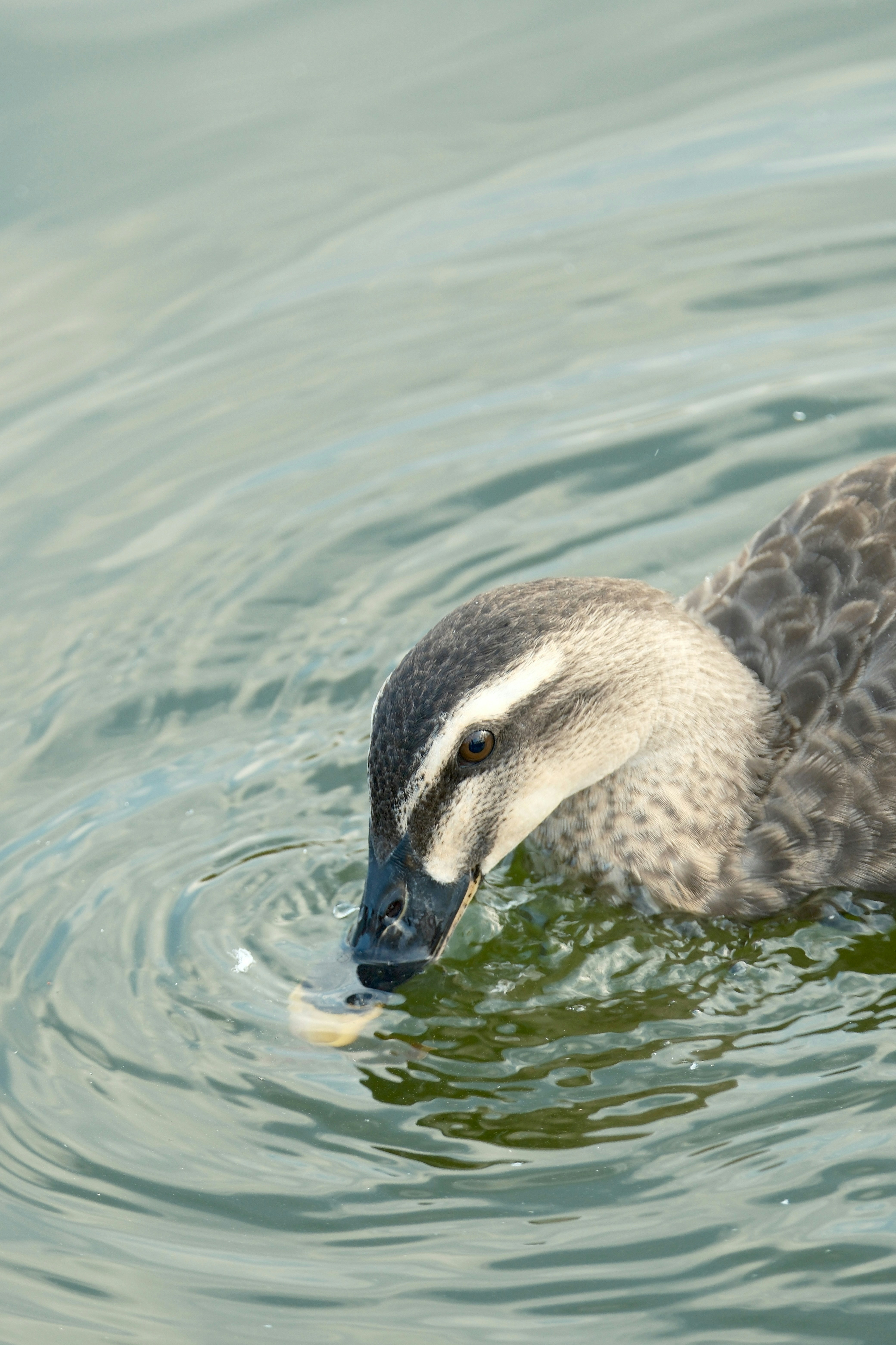 Photo by seiya_maeda