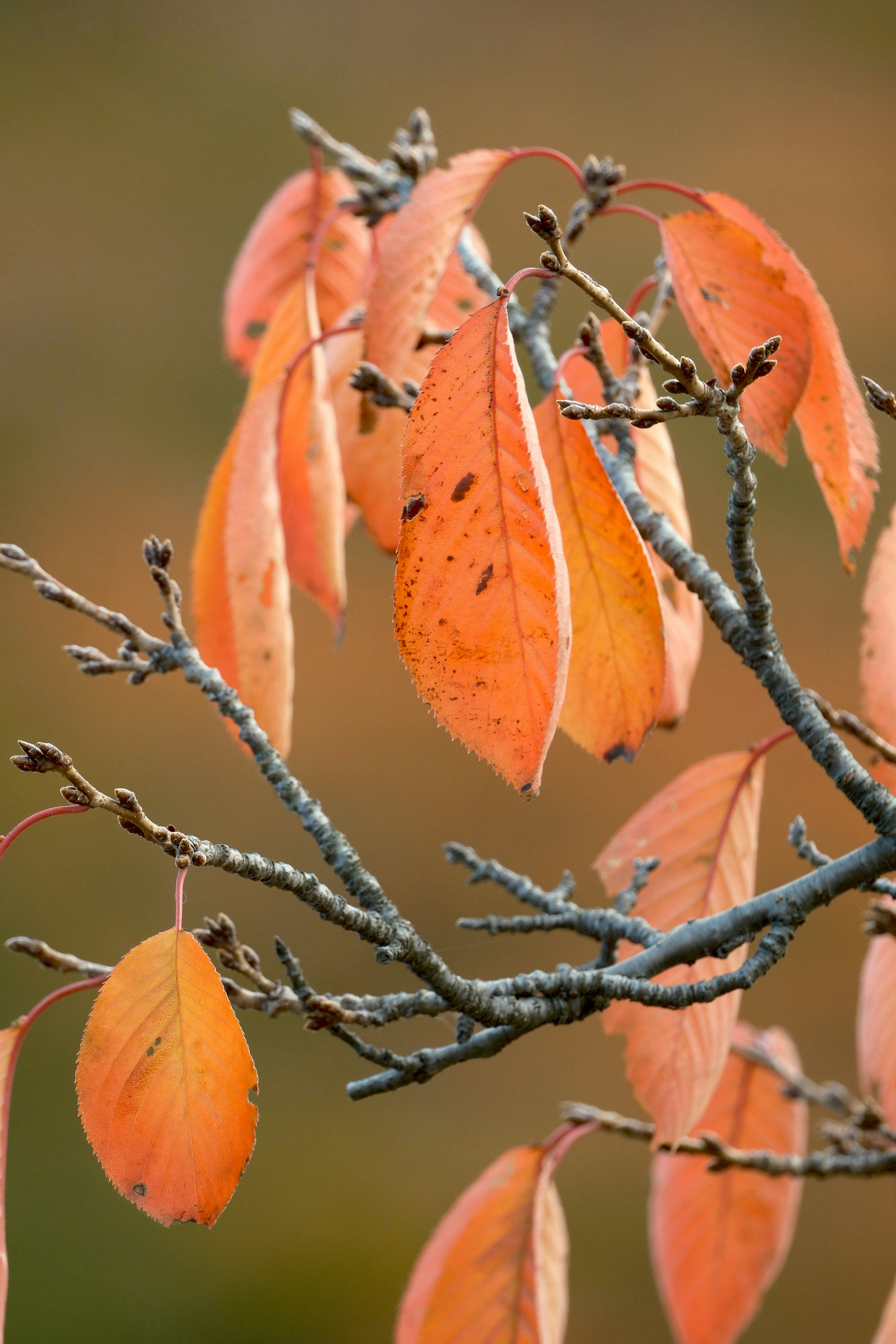 Photo by seiya_maeda