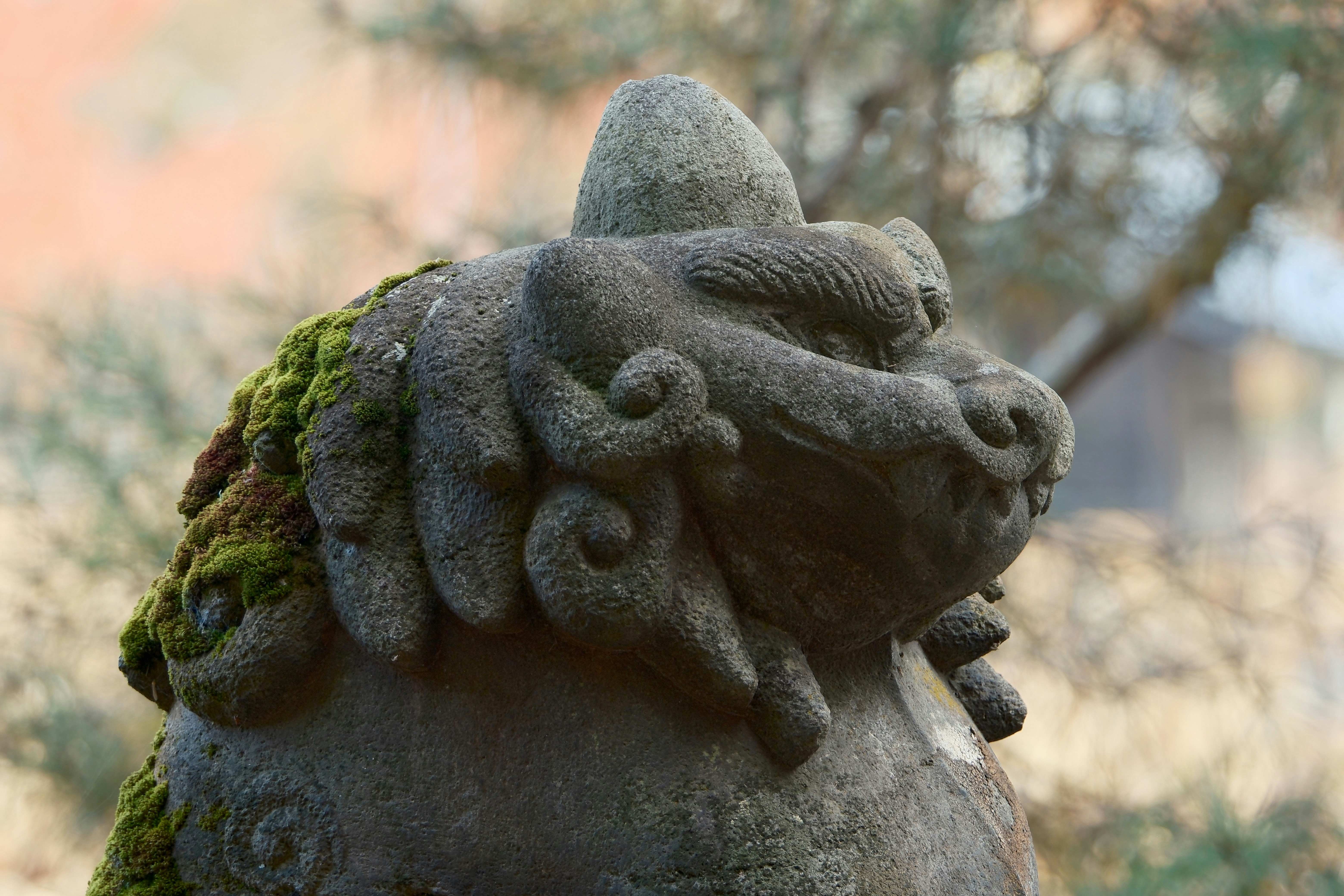 Photo by seiya_maeda