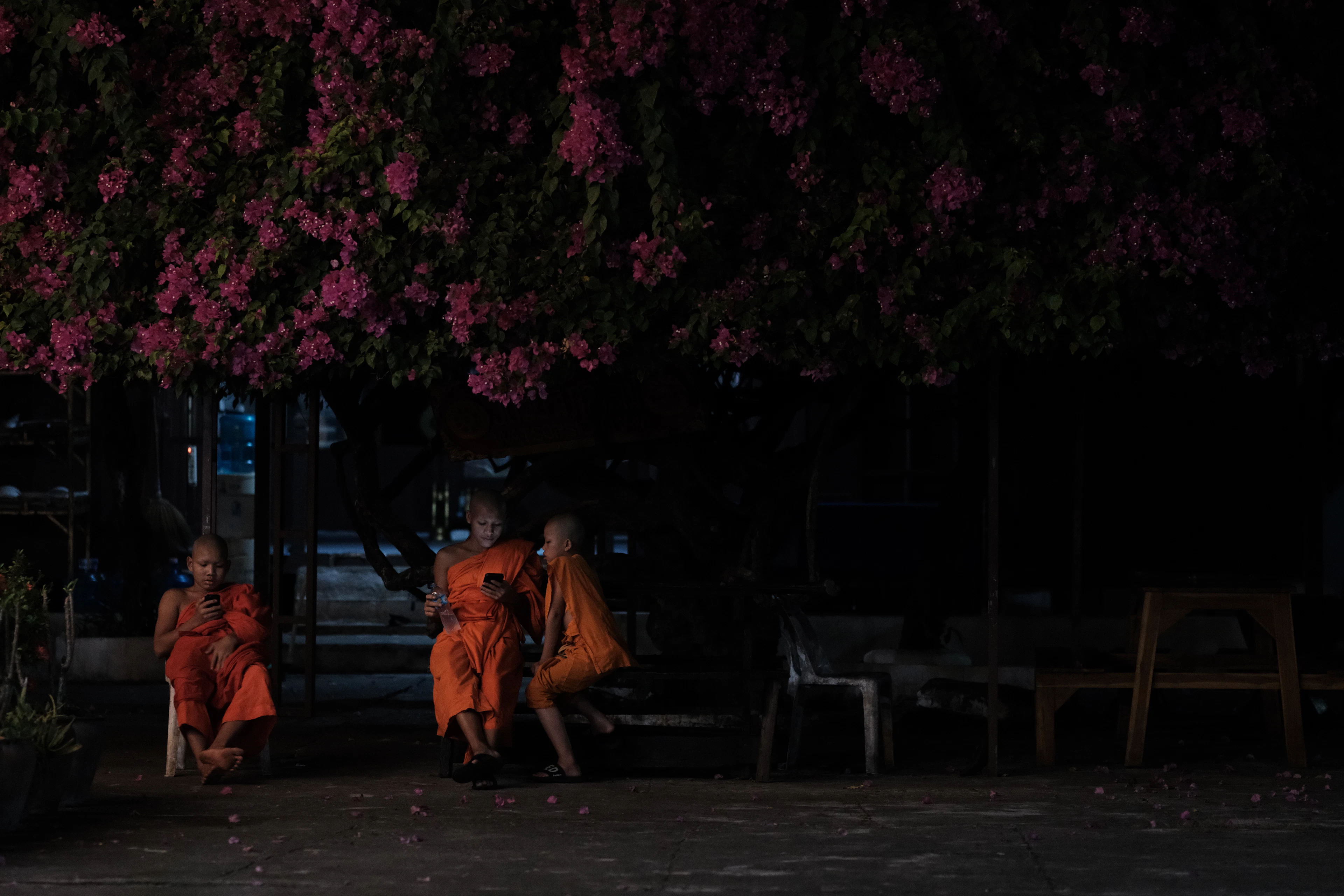 Laos — photo 3