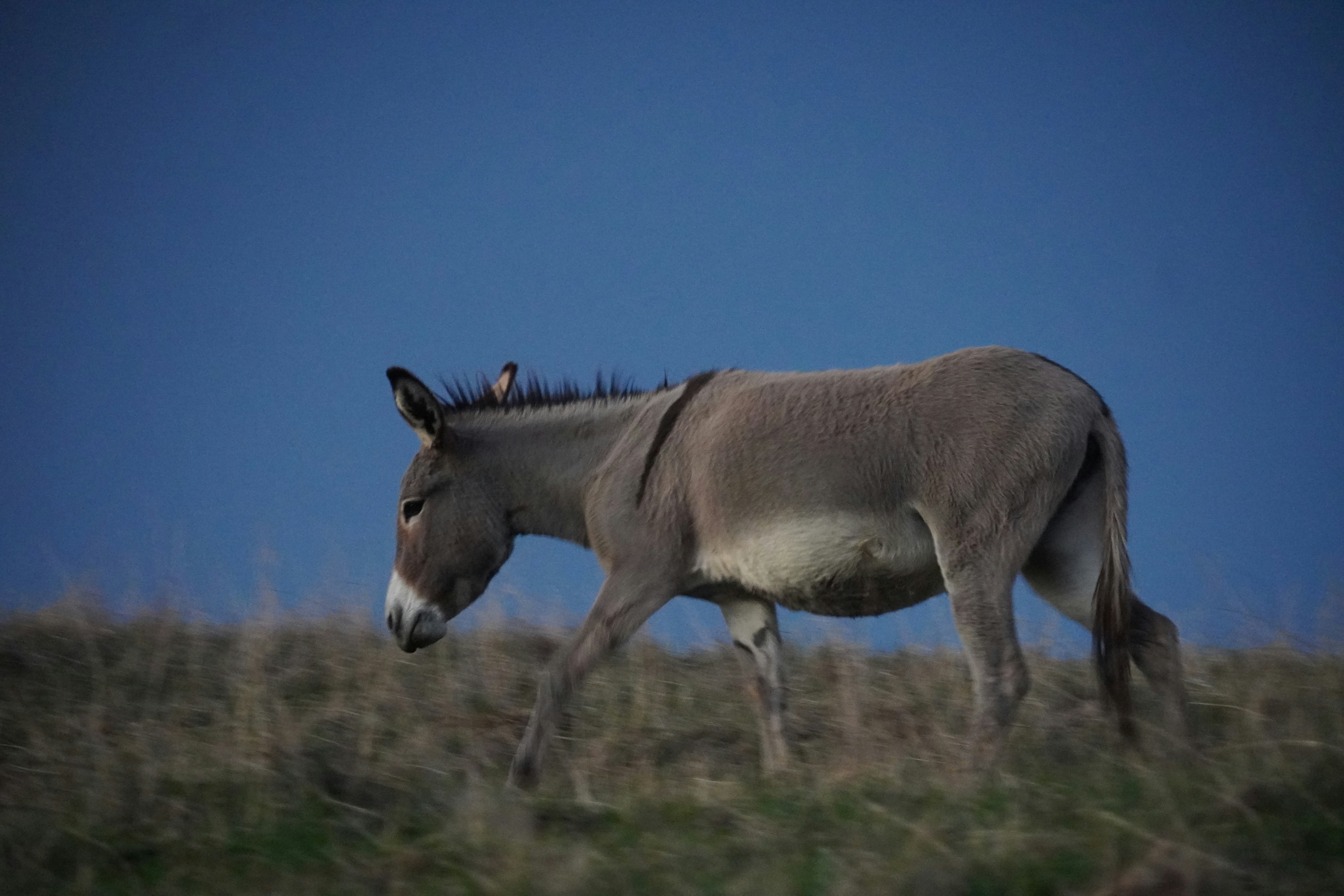 Loma Linda California