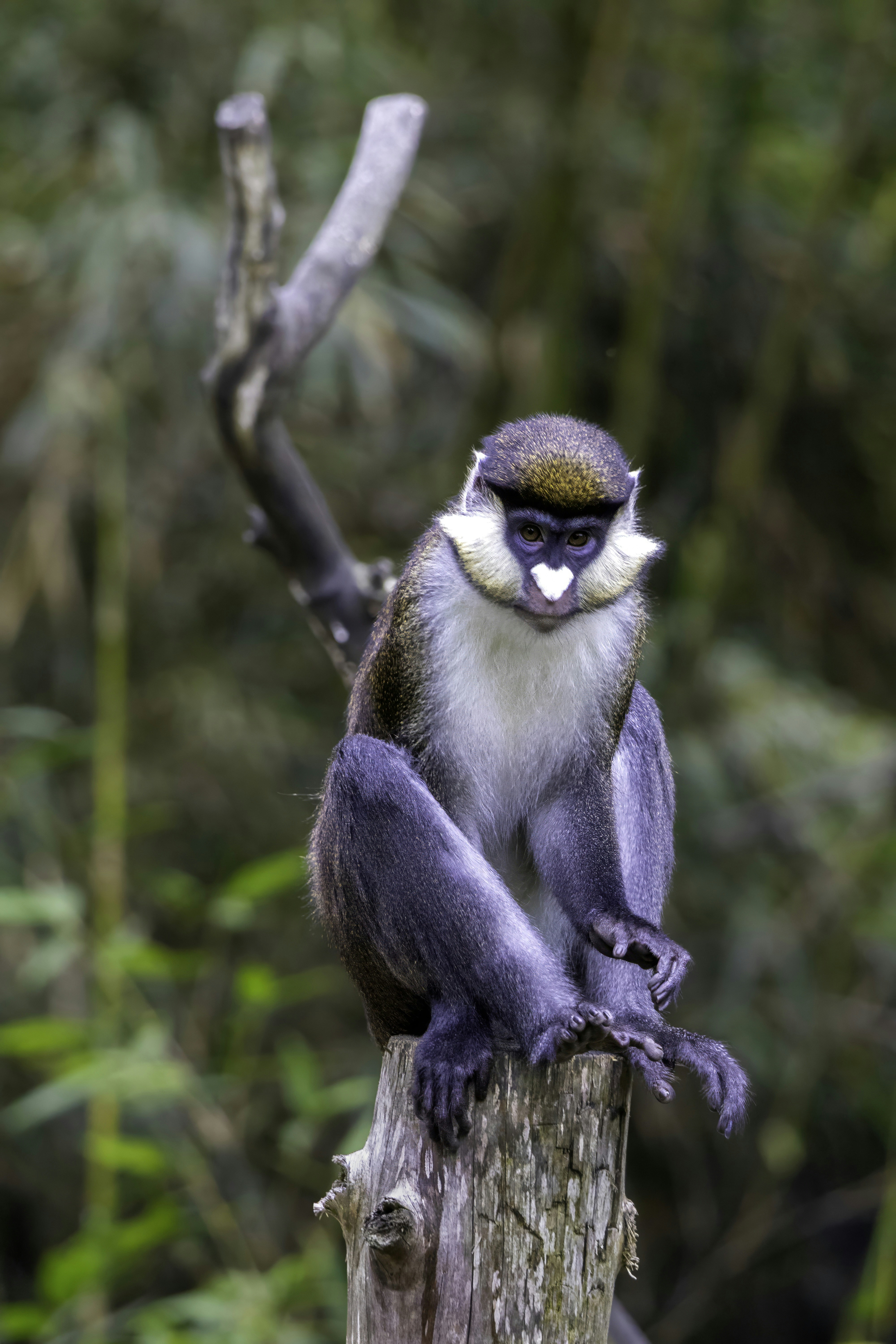 Photo by thedailystruggles