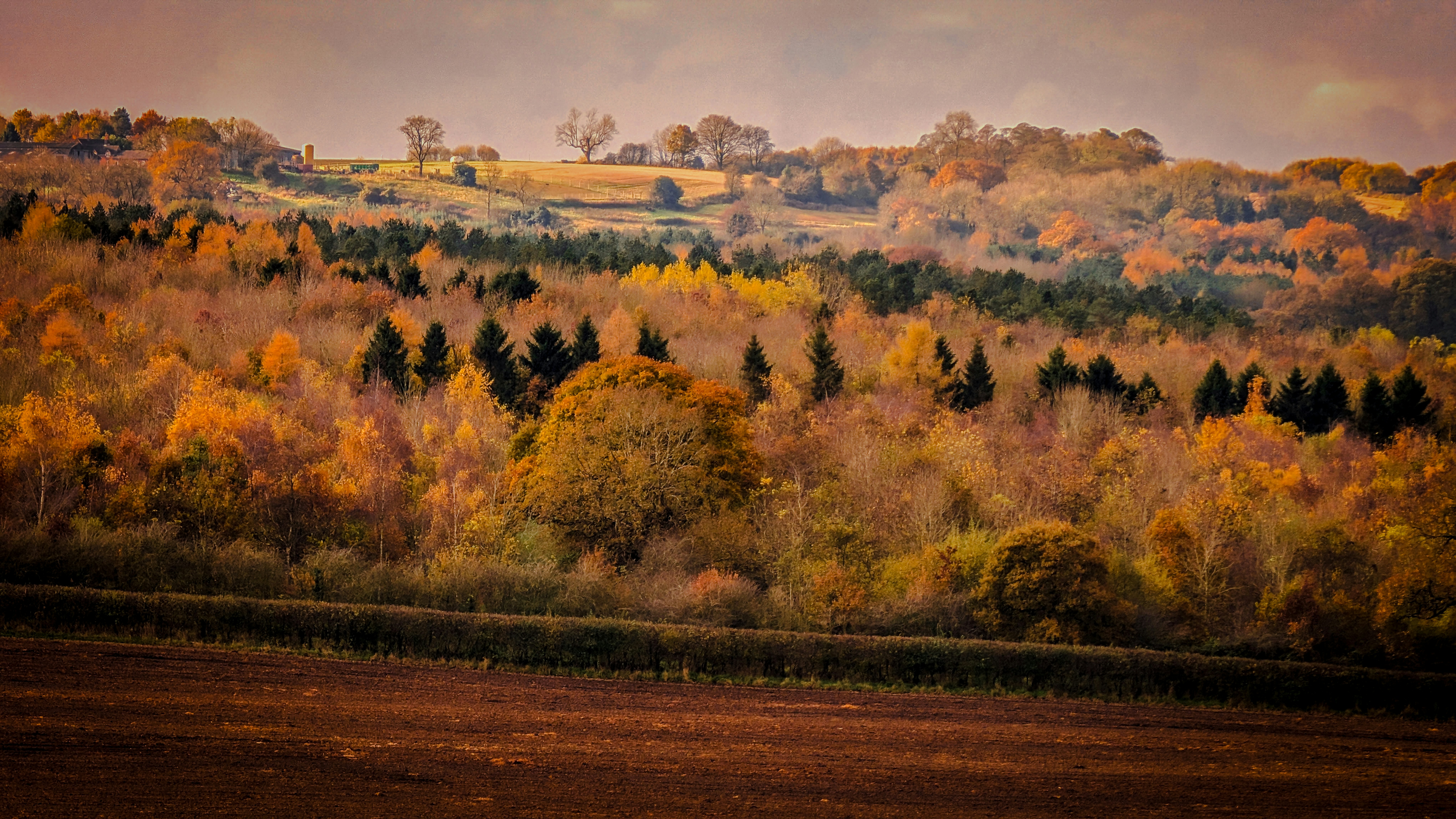 A scenic view of a hillside with trees in the foreground