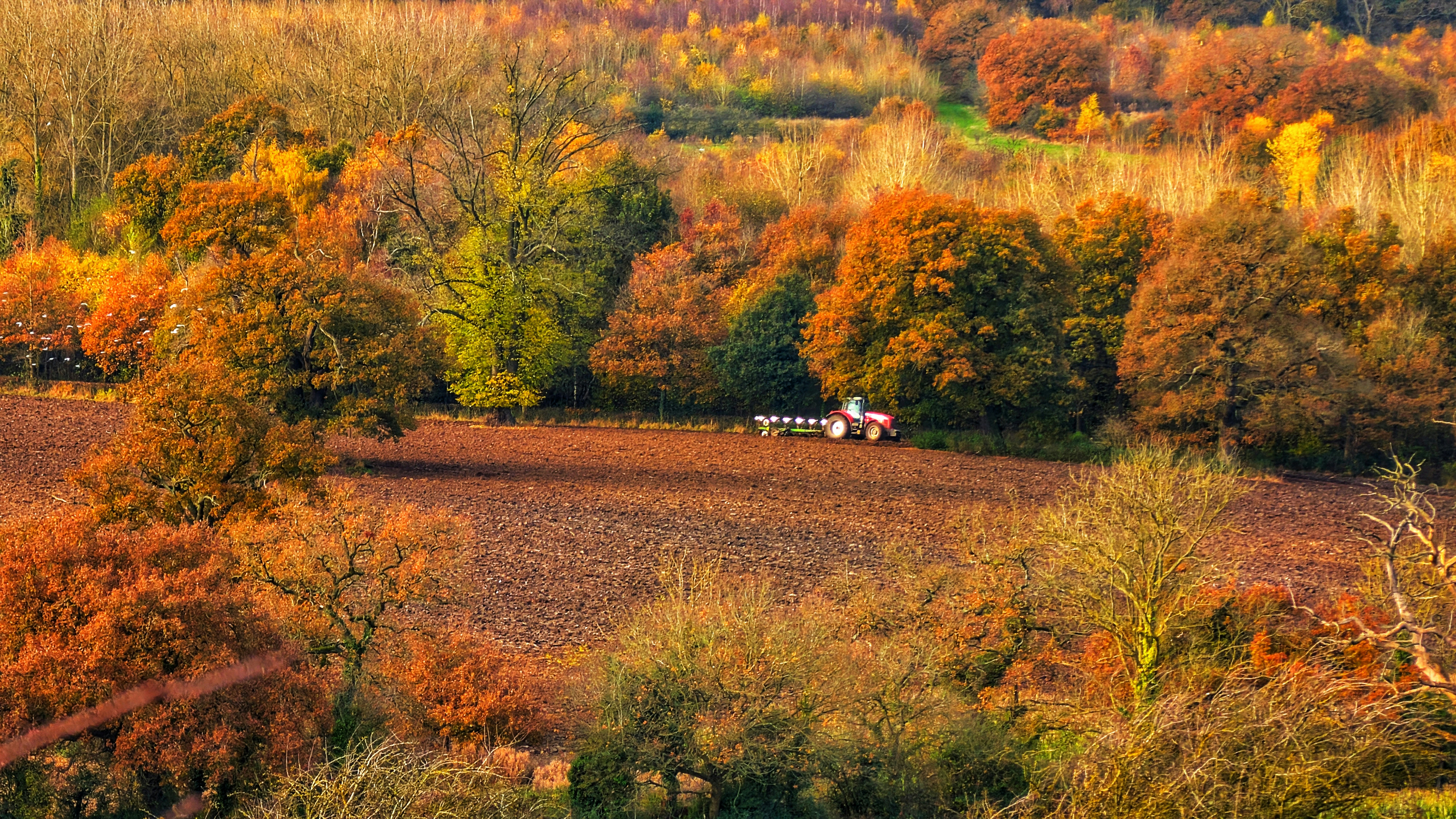 A large field with trees in the background