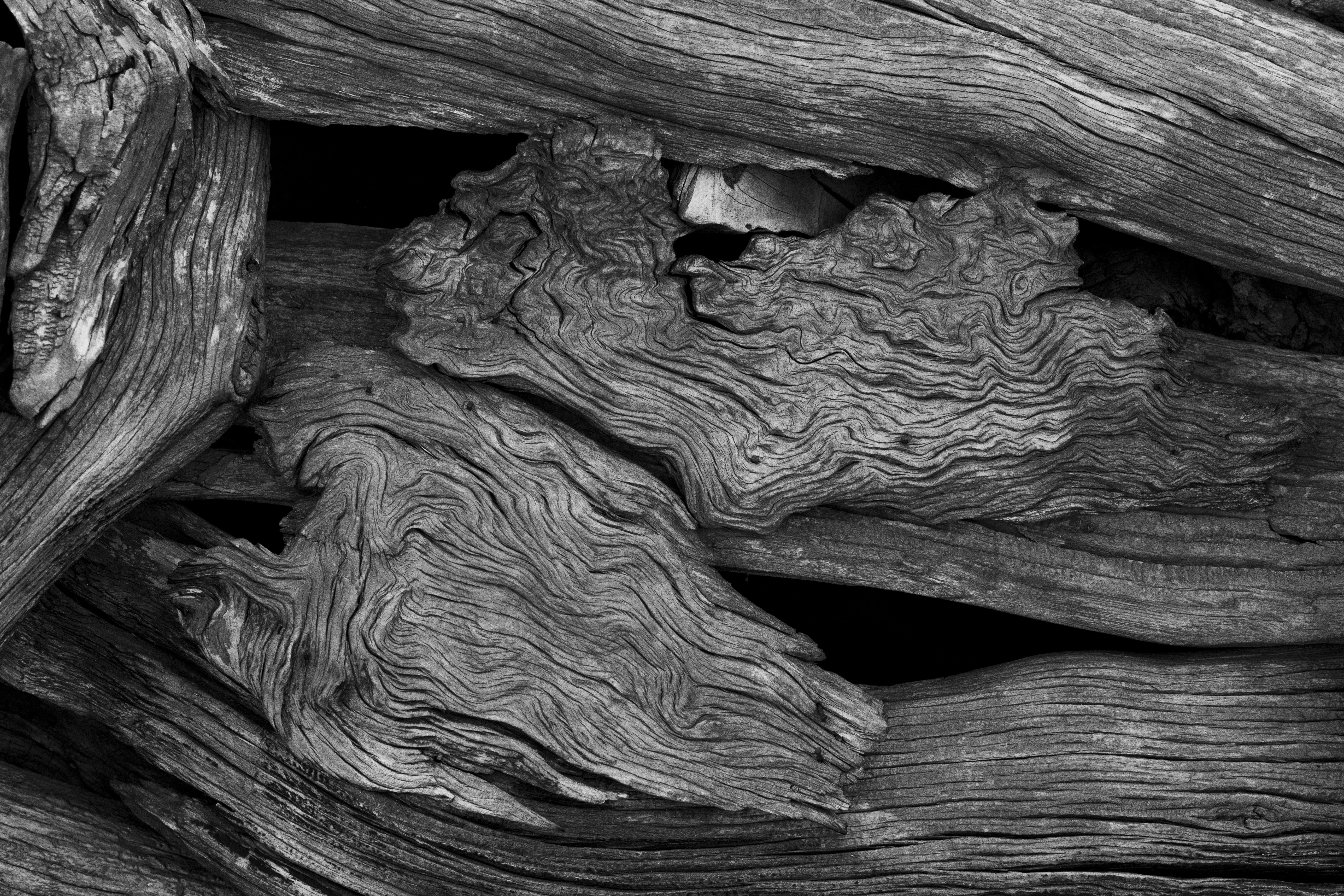 Black and white photograph of a pile of wood